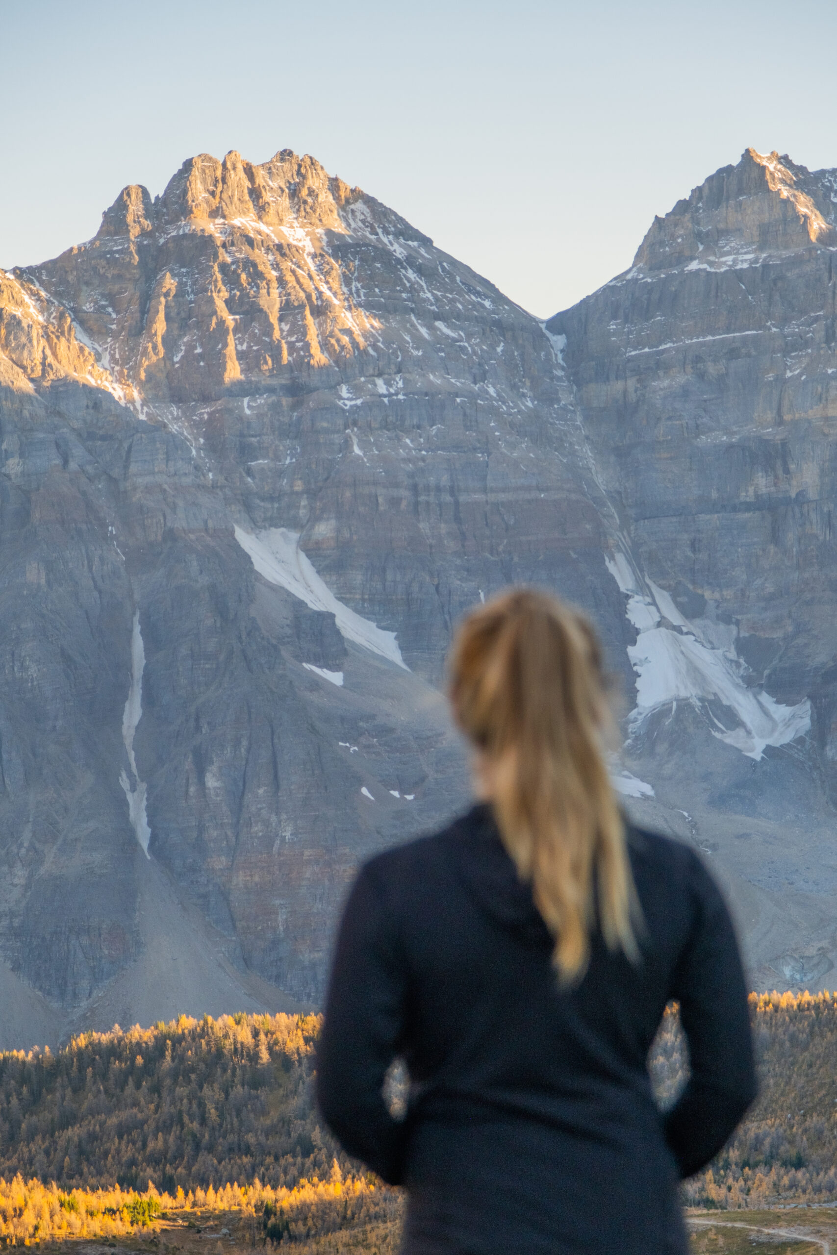 Sentinel Pass views in the larch season