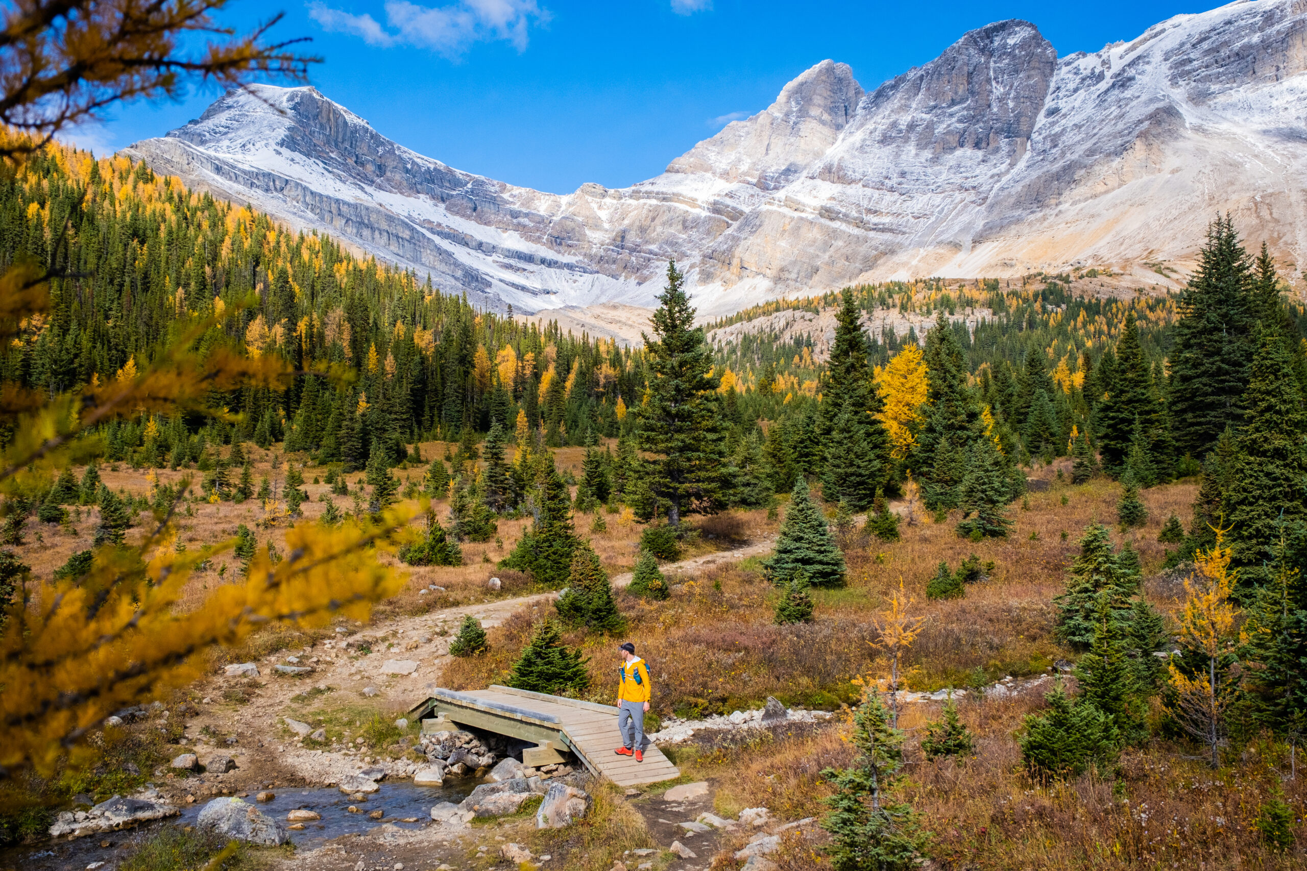 10 Best Larch Hikes To Enjoy Banff In The Fall The Banff Blog