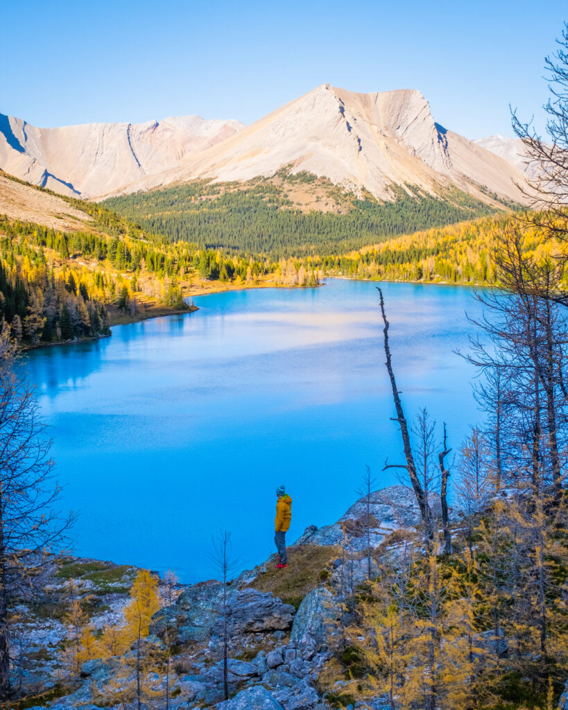 10 Best Larch Hikes To Enjoy Banff In The Fall The Banff Blog