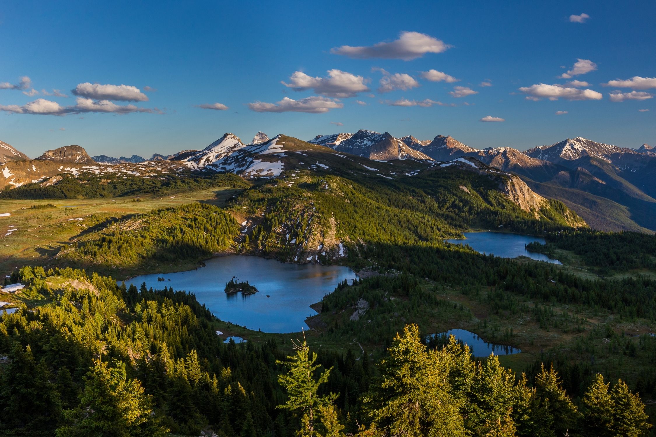 Sunshine Meadows In Late Evening Light