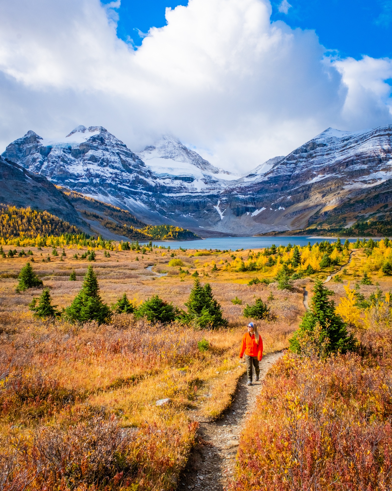 mount assiniboine