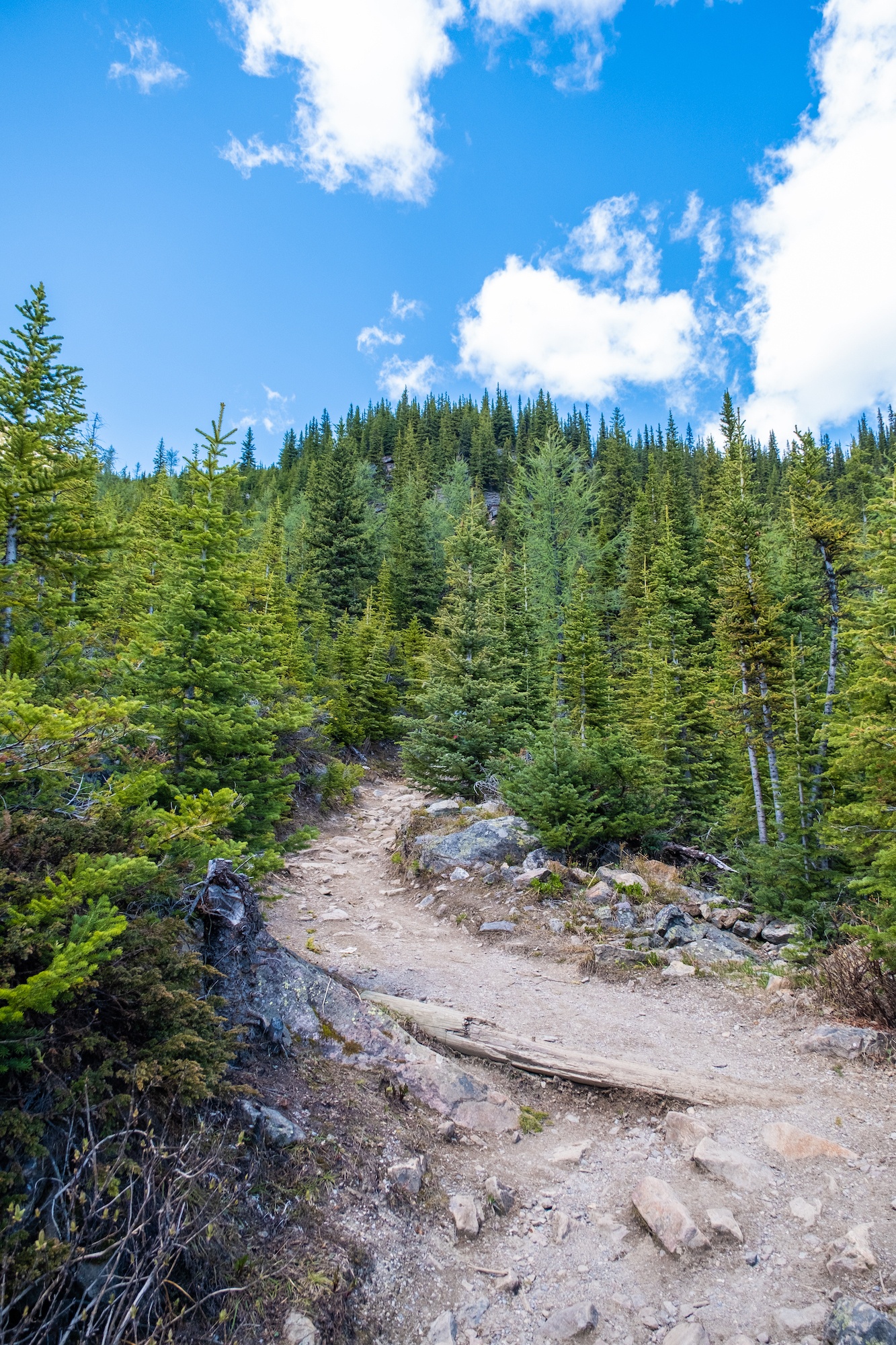 Trail To Little Beehive and Mount St Piran