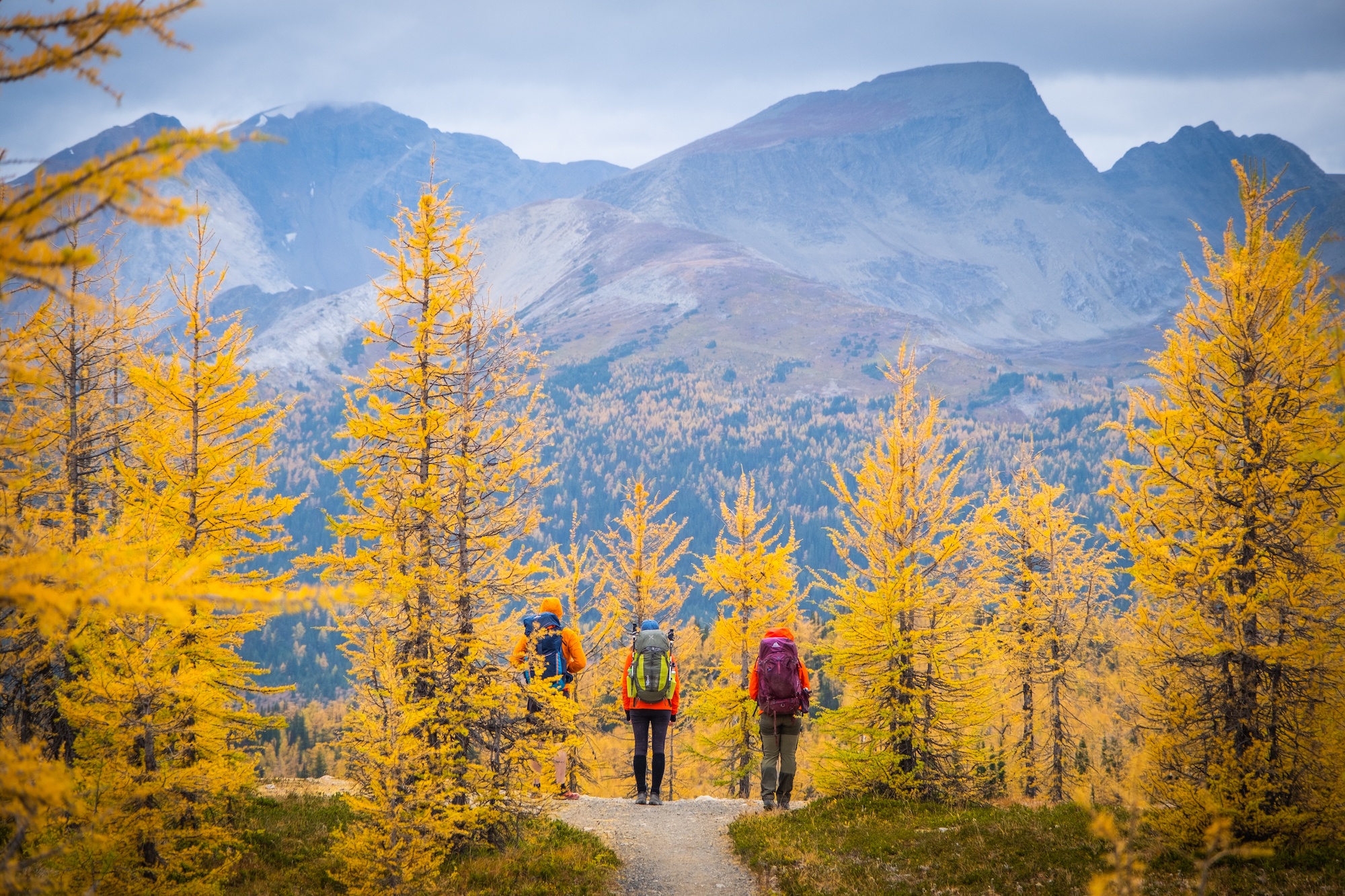 Three Hikers Look Out Across Wonder Pass