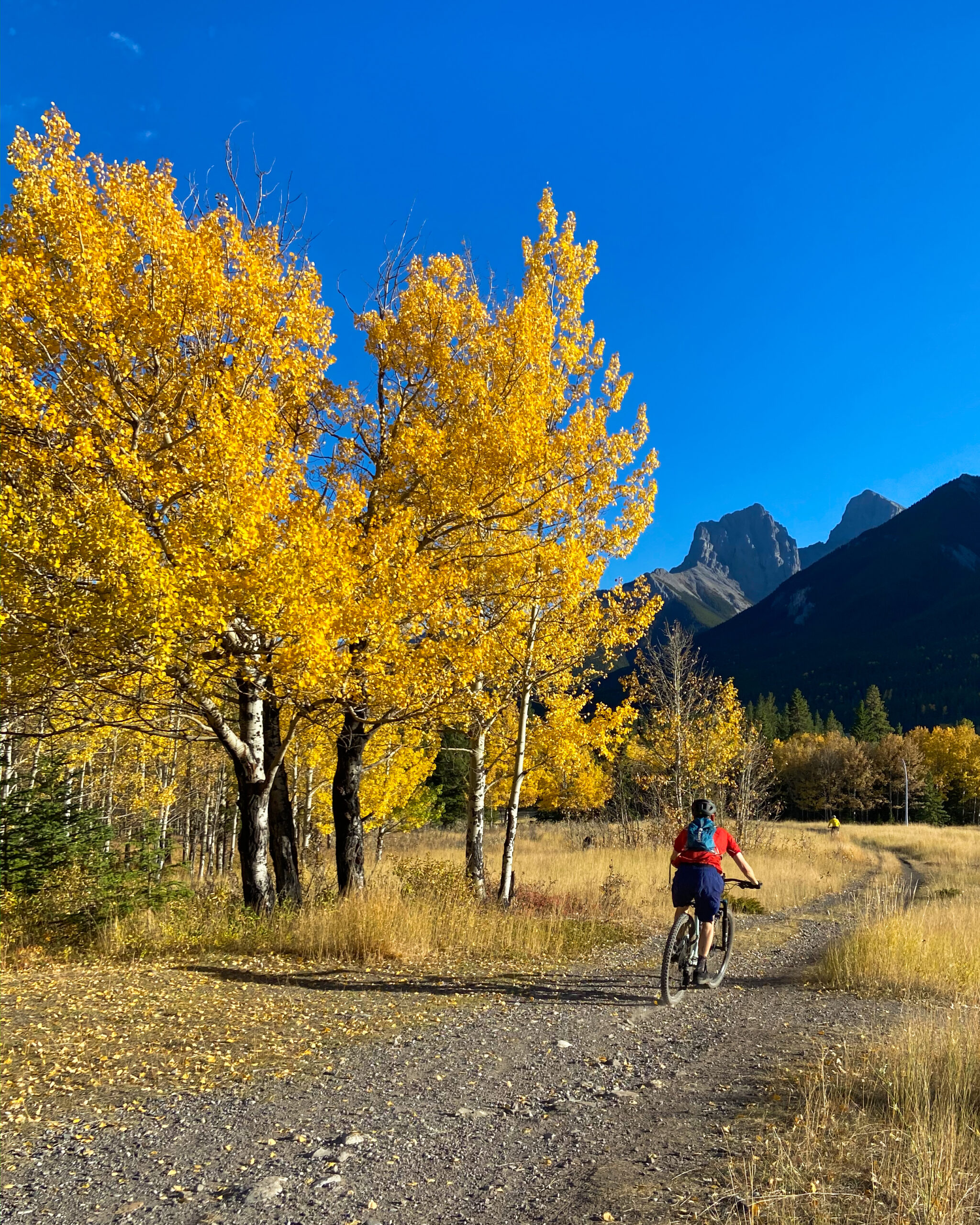 mountain biking in the Fall in the Canadian Rockies