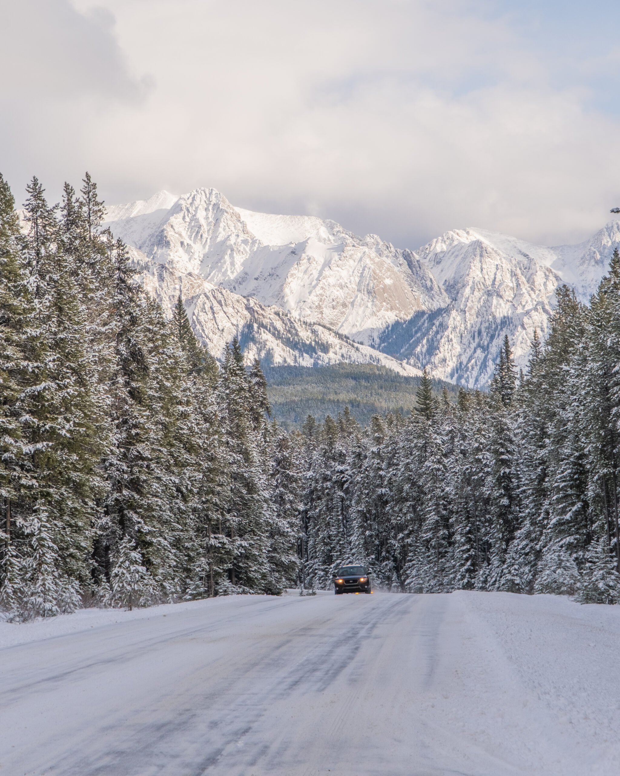 bow valley parkway in winter