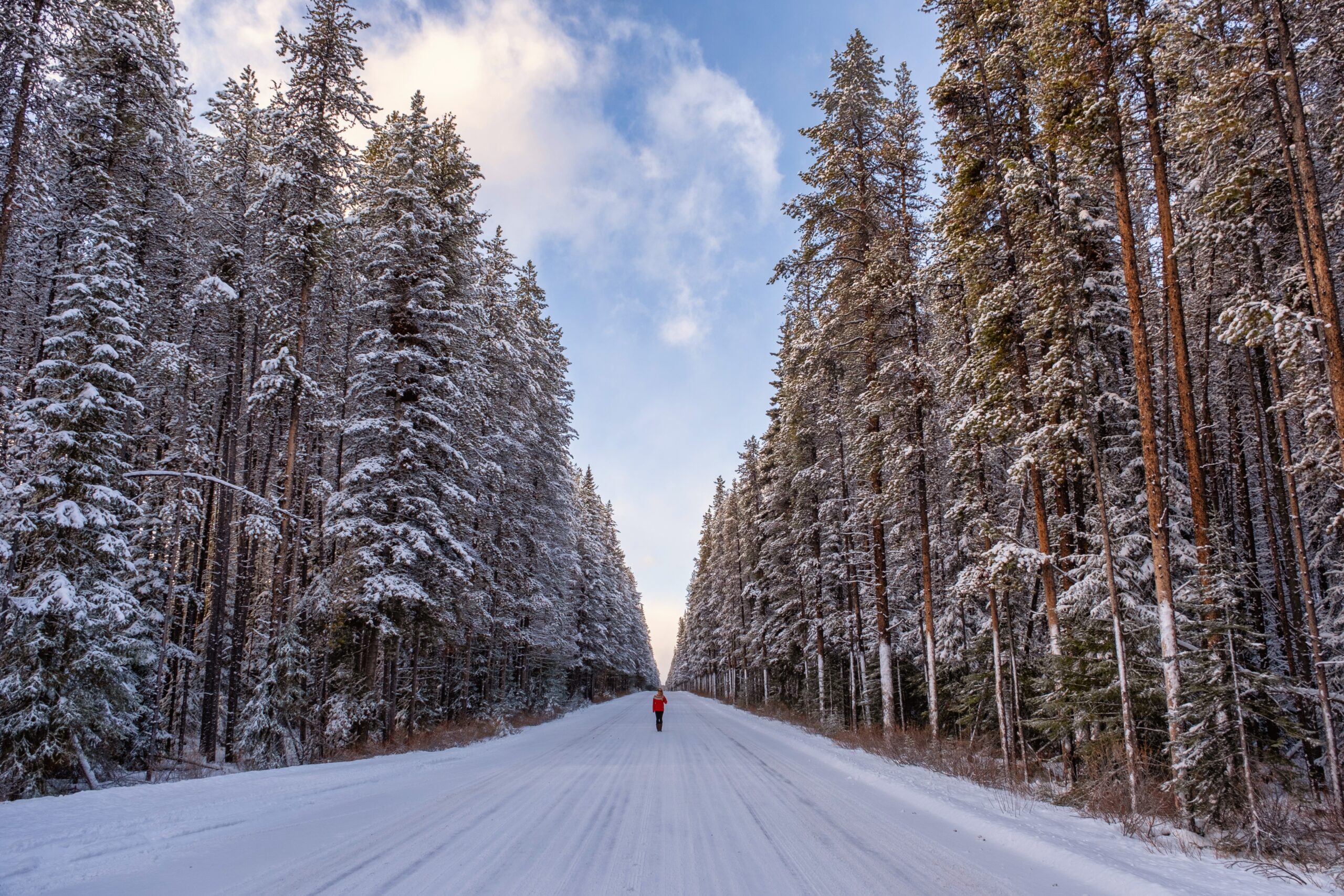 bow valley parkway winter