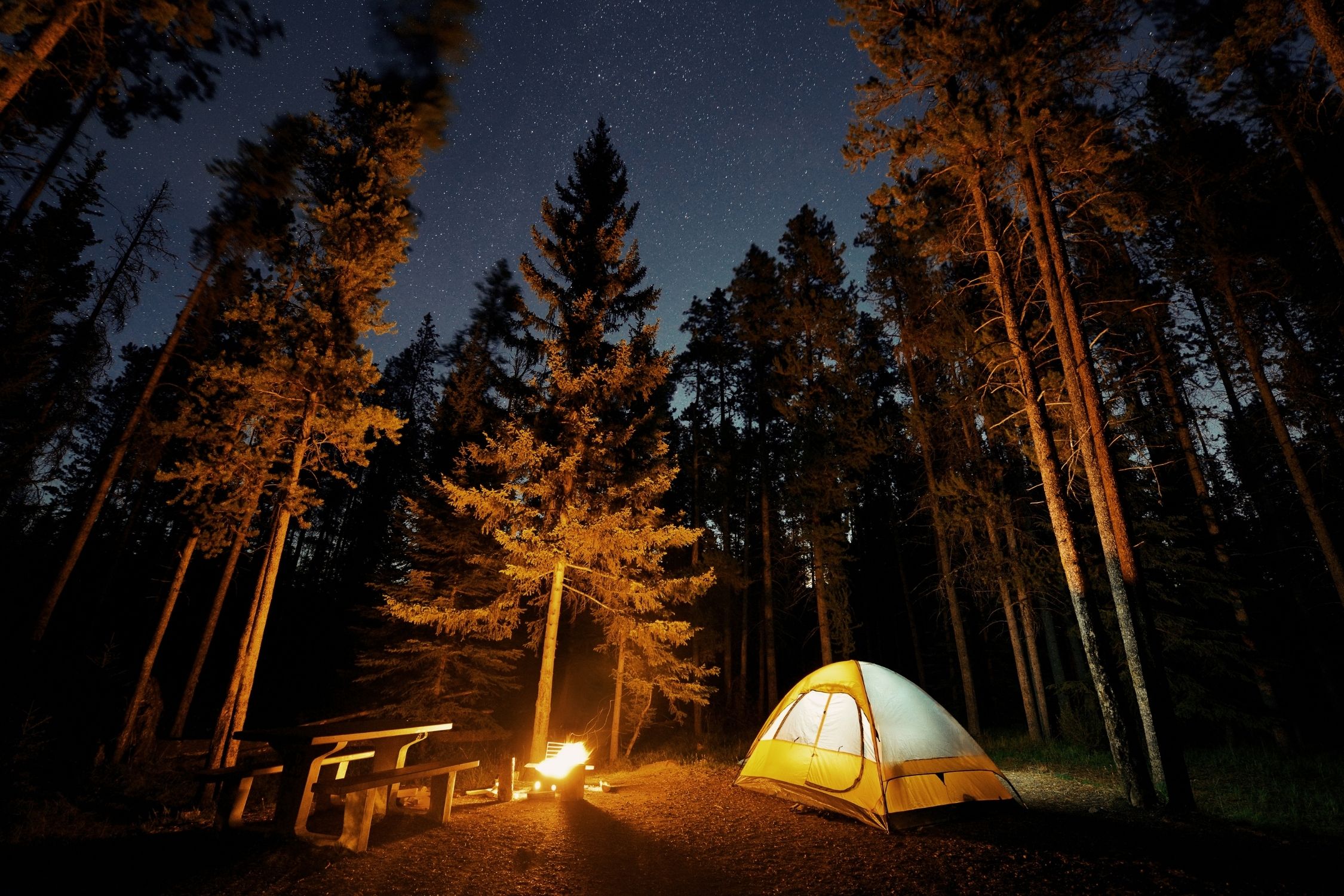 Banff Camping Tent at Night