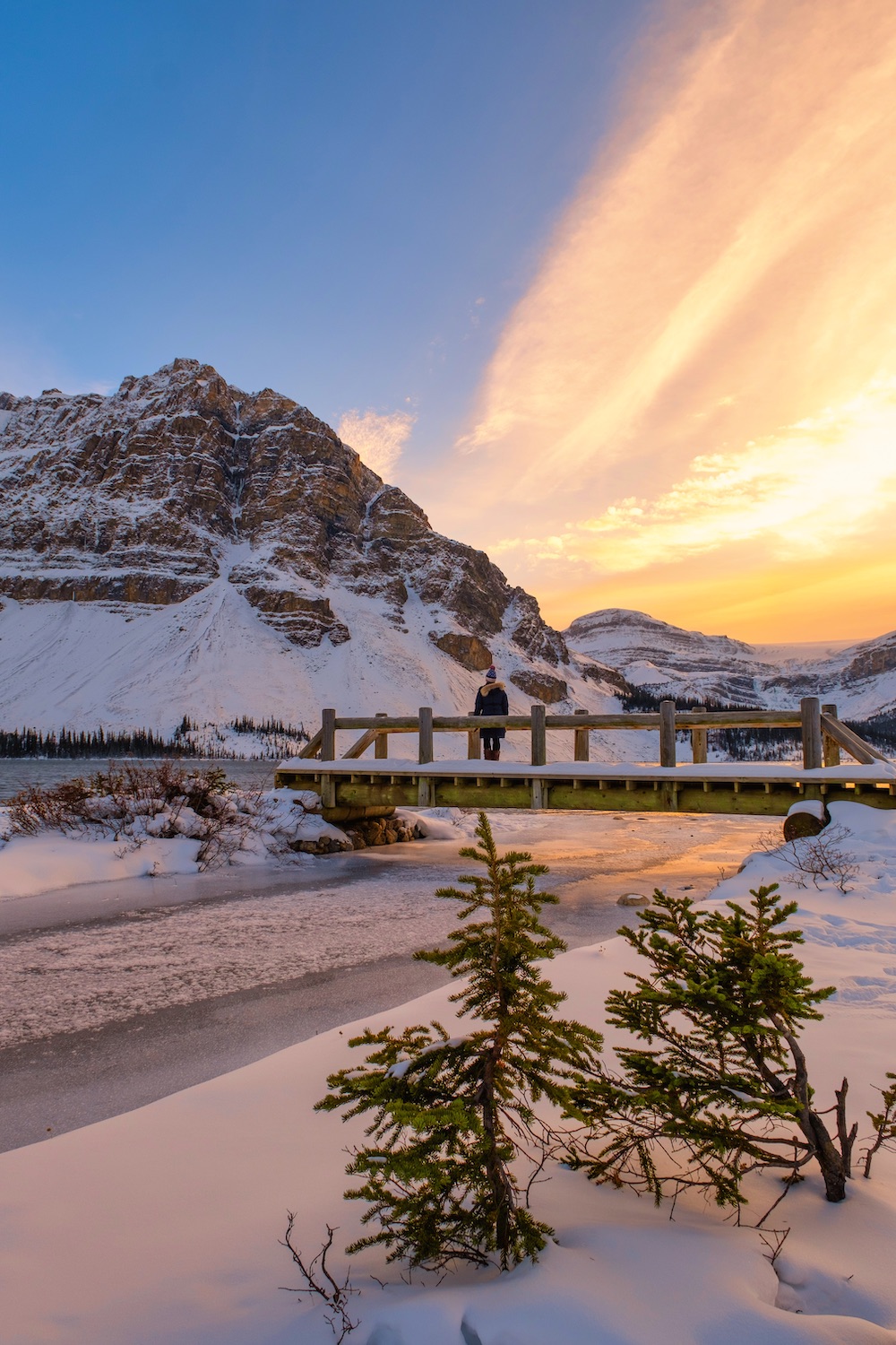 15 Things to Know About Visiting Bow Lake in Banff - The Banff Blog