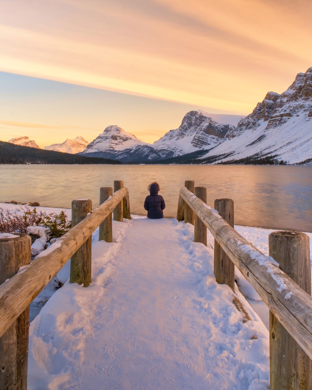 bow lake in winter