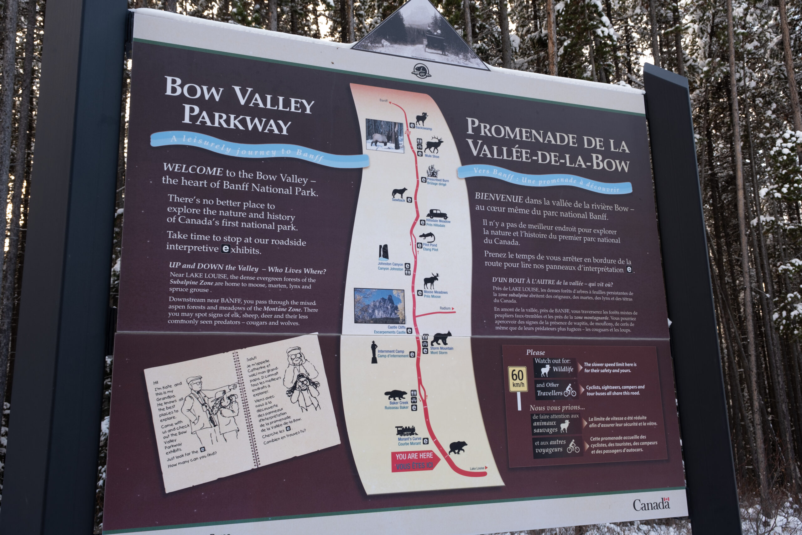 Bow-Valley-Parkway-