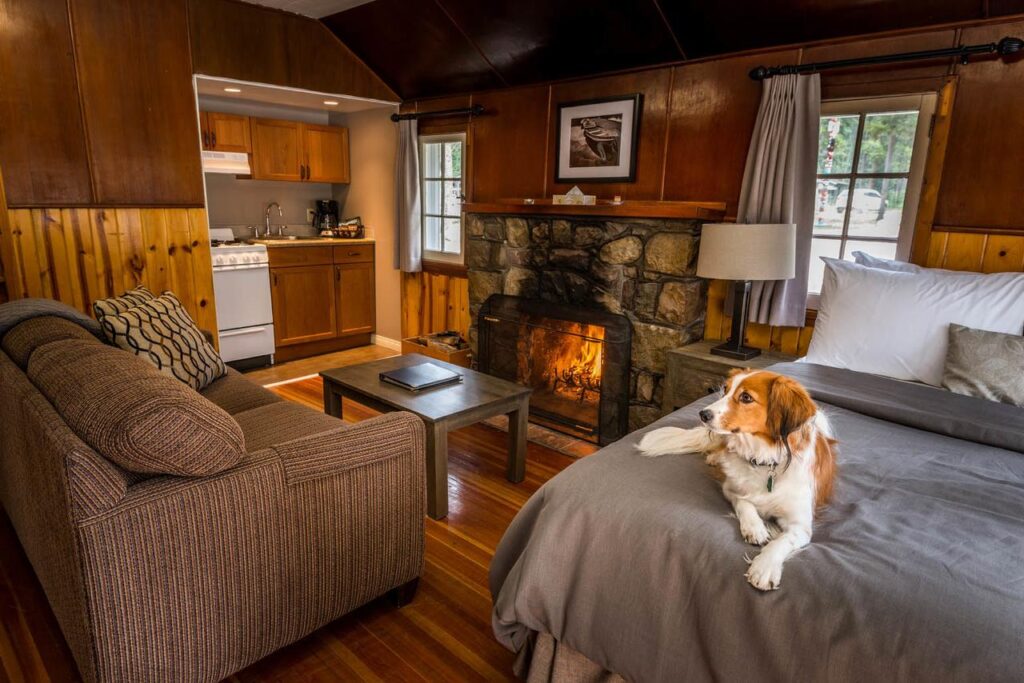 11 Jasper Cabin Rentals To Get Cozy In (Pet Friendly Options)