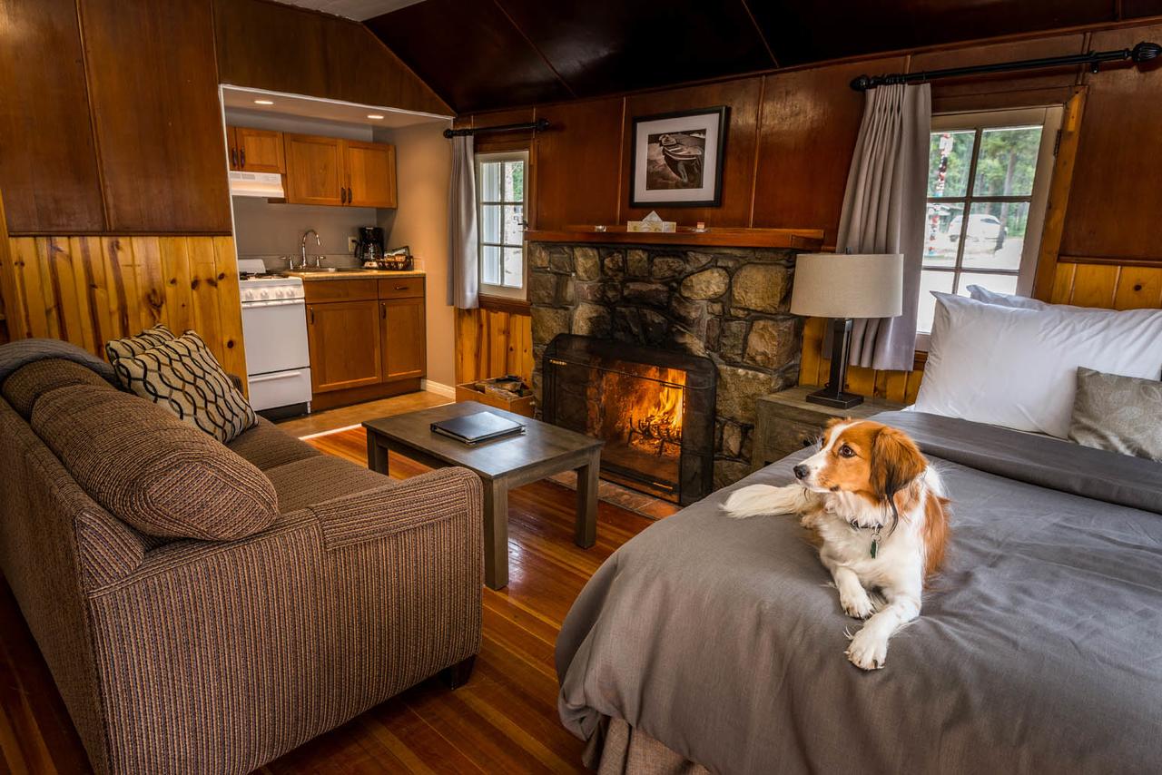 cabins in jasper