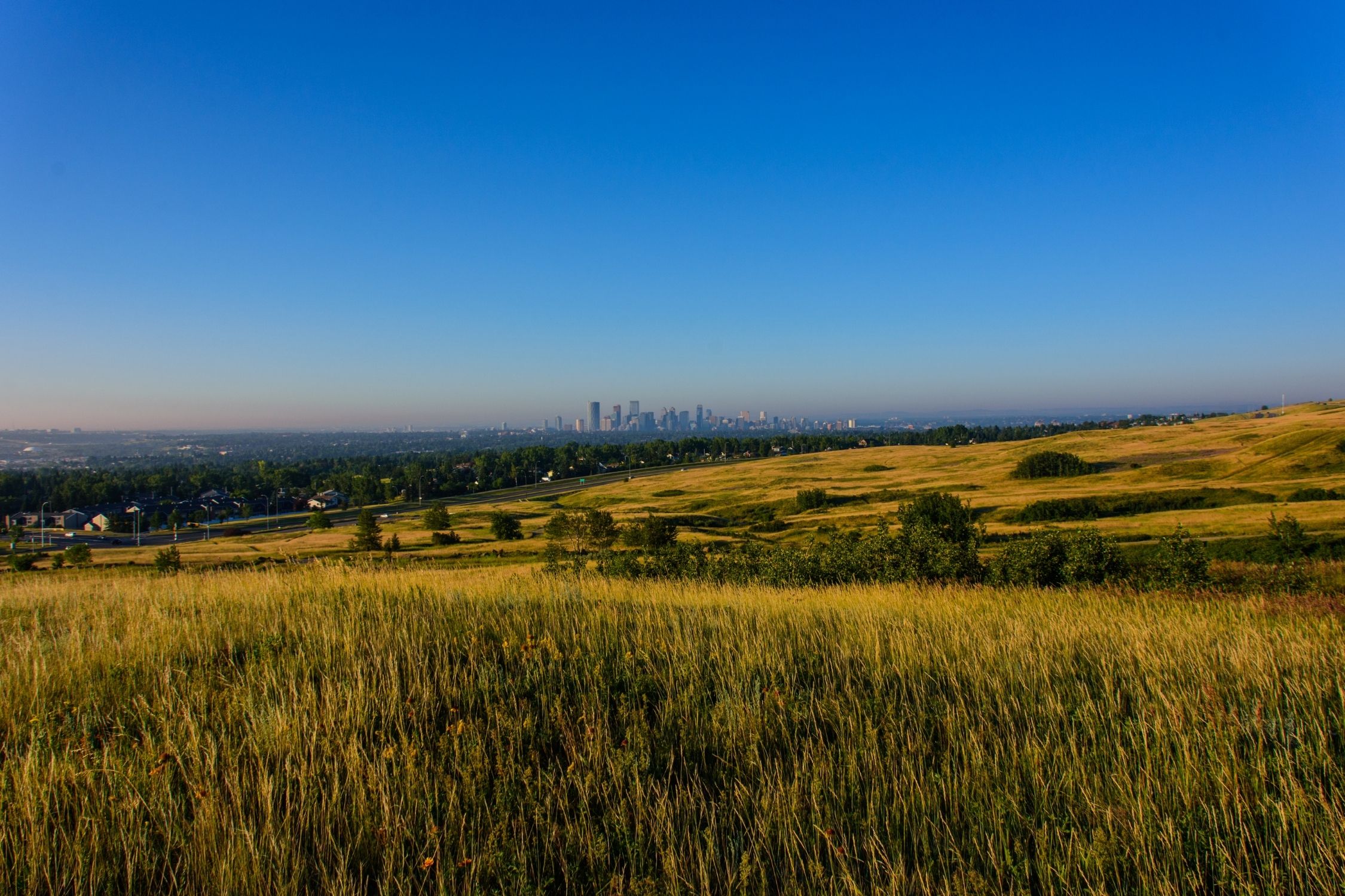 Nose Hill Park