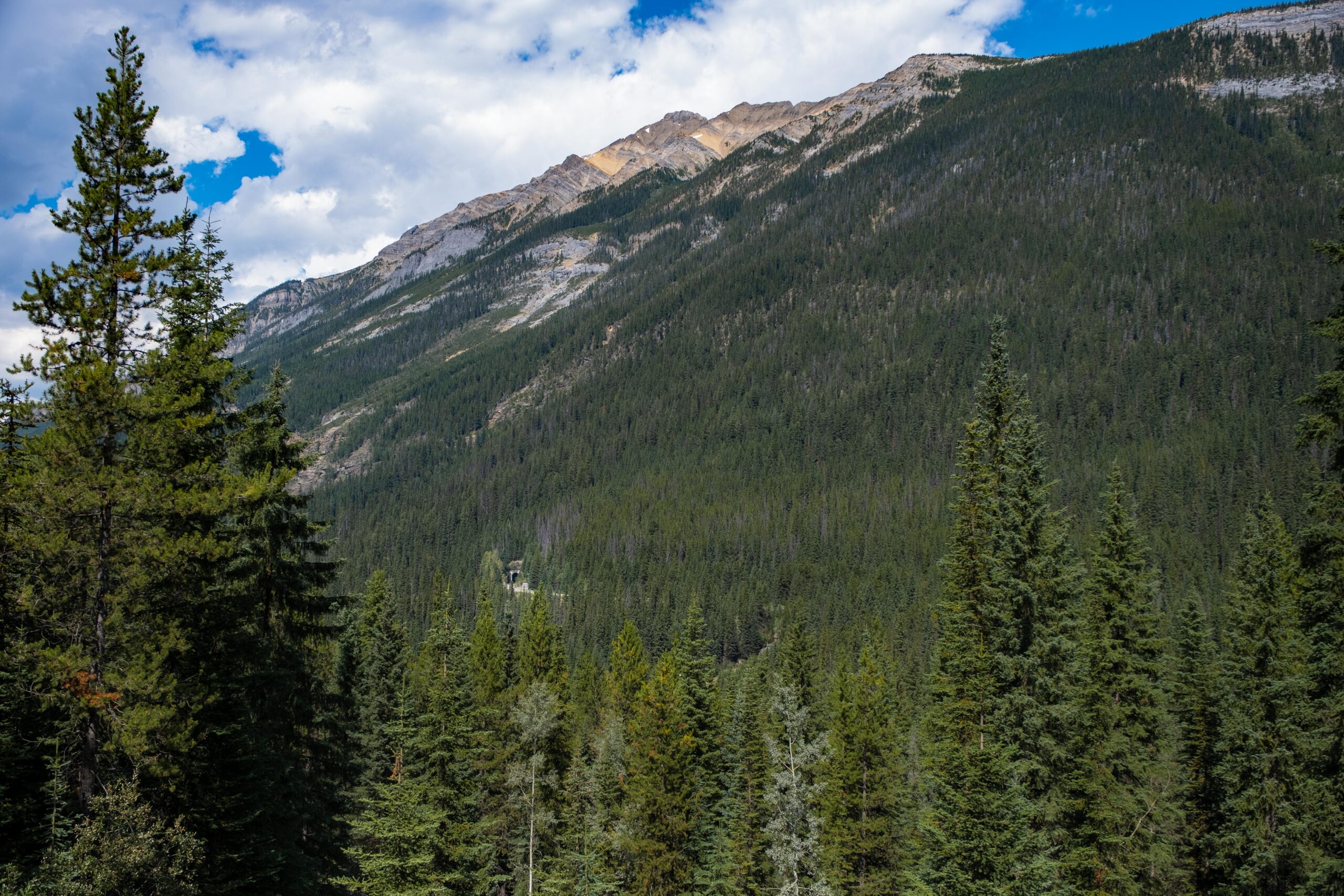 spiral tunnels in yoho