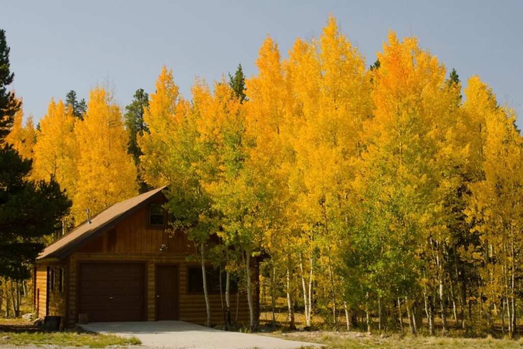 cabins in canmore