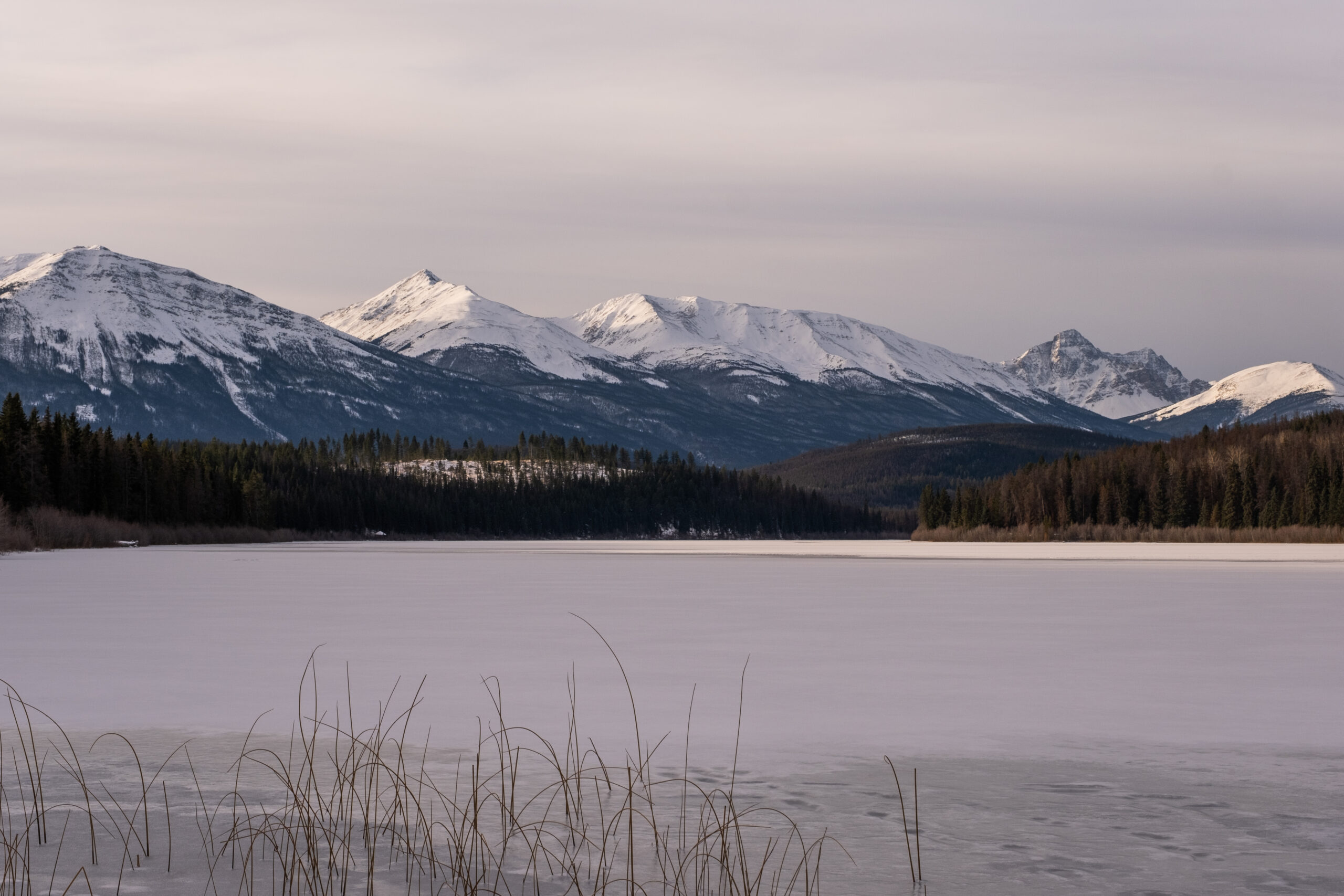 jasper national park in winter