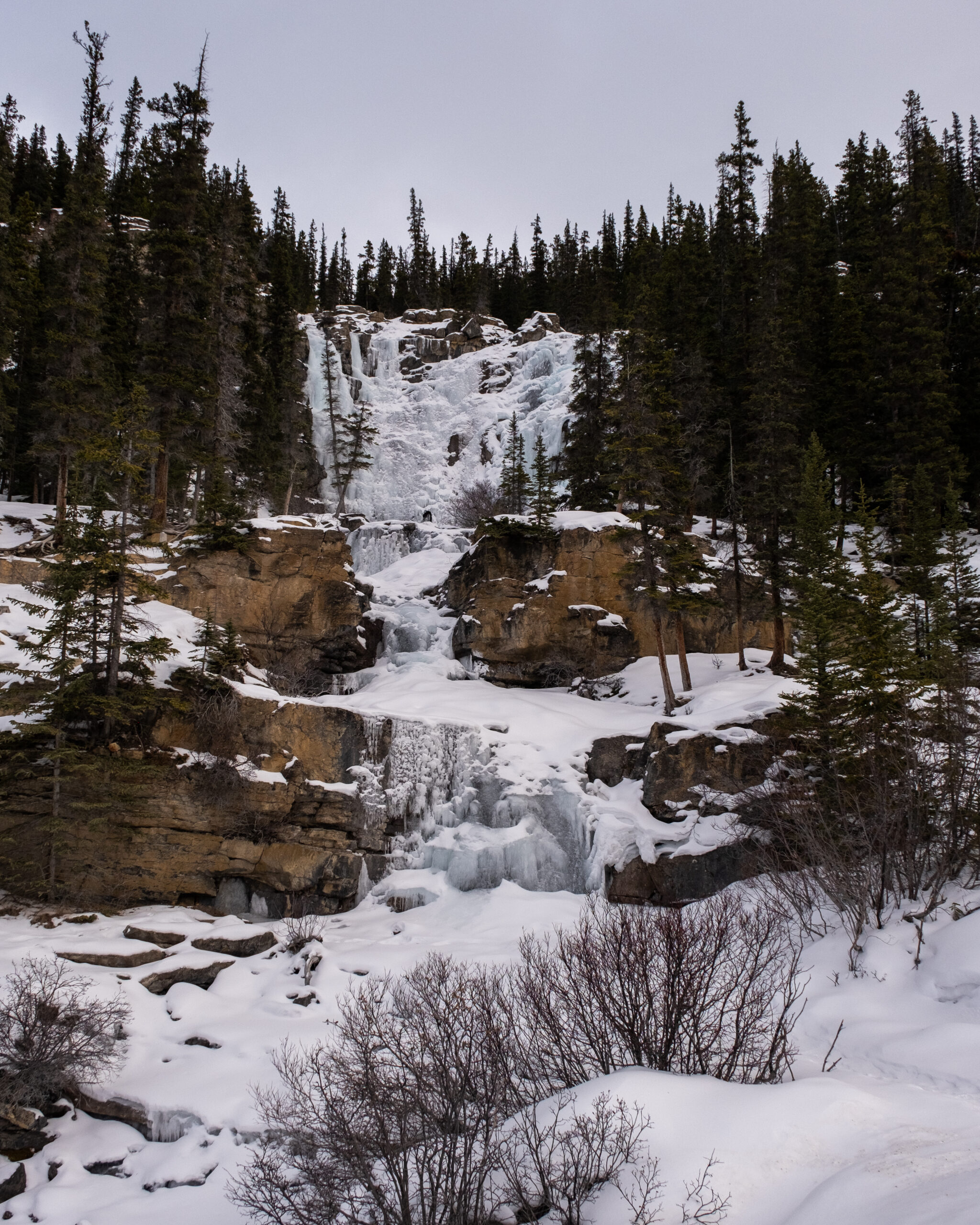 A Frozen Tangle Creek Falls