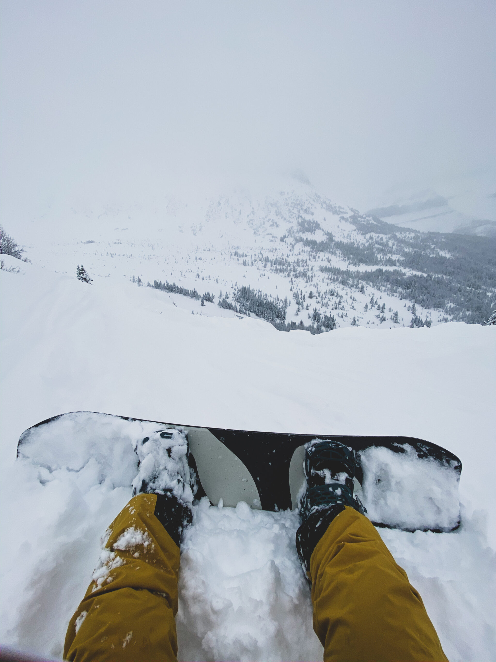 West Bowl Powder Bowl