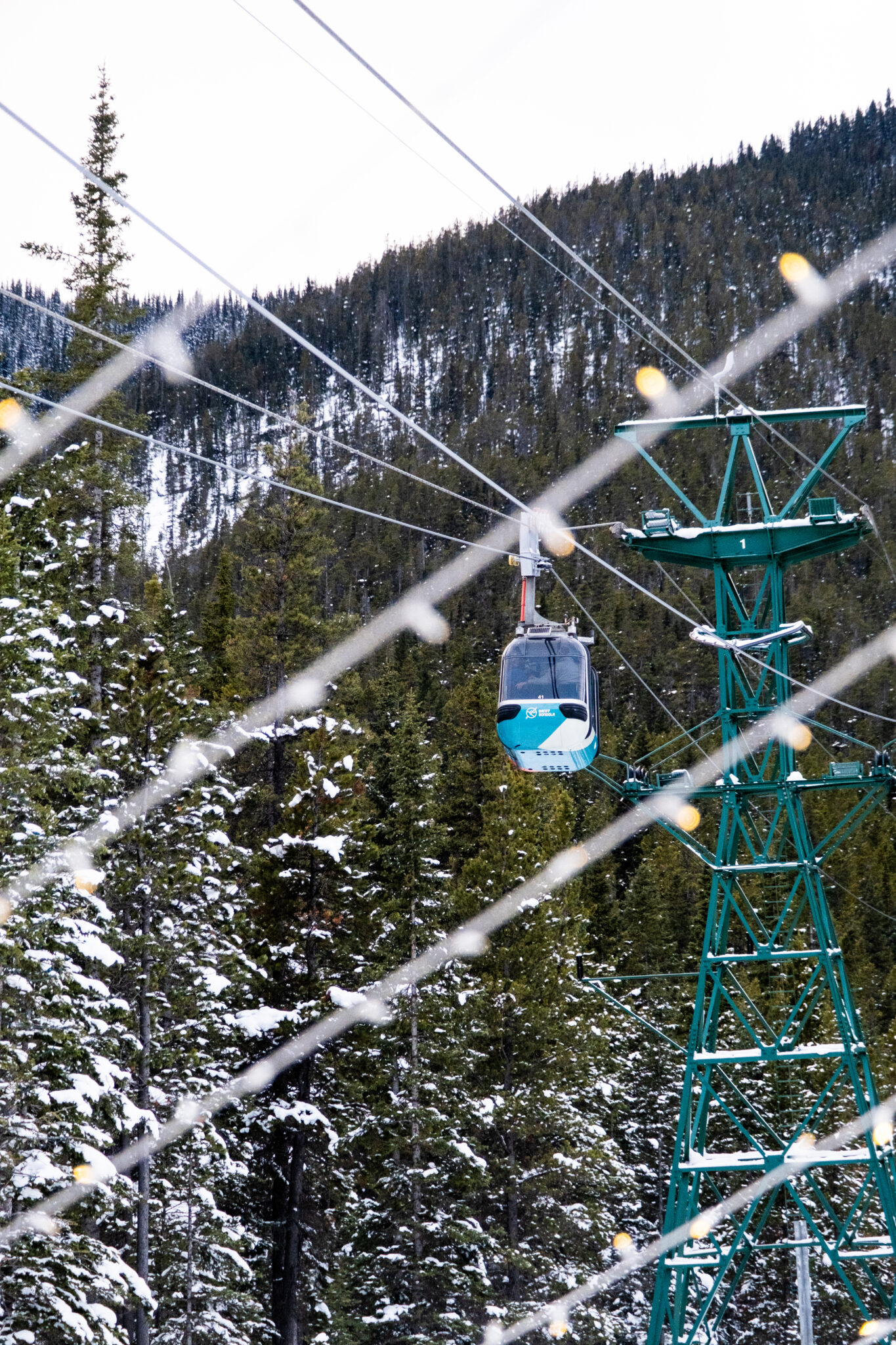 20 Things to Know BEFORE You Ride the Banff Gondola (2023)