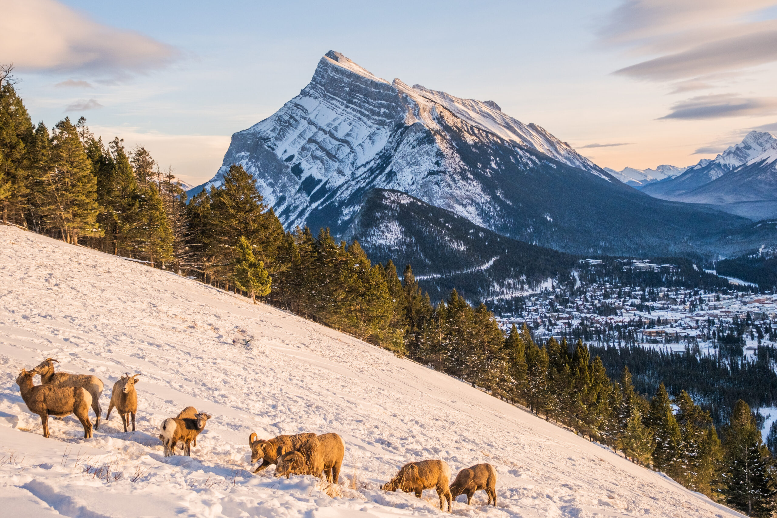 Banff Winter