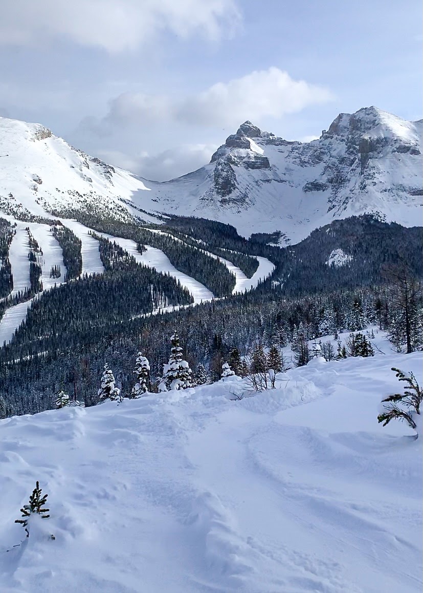 Sunshine village deals