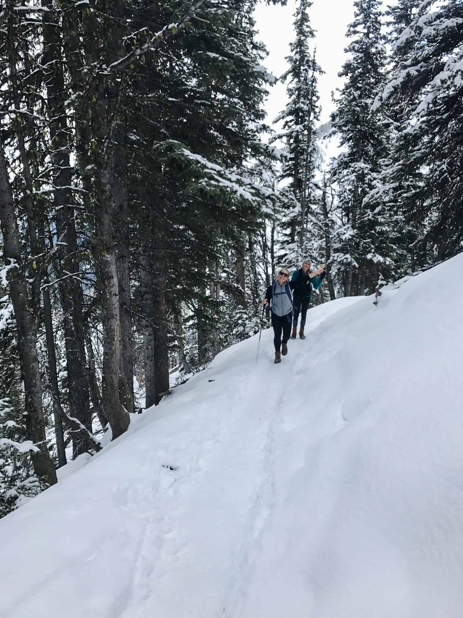 Hiking up Sulphur Mountain in May