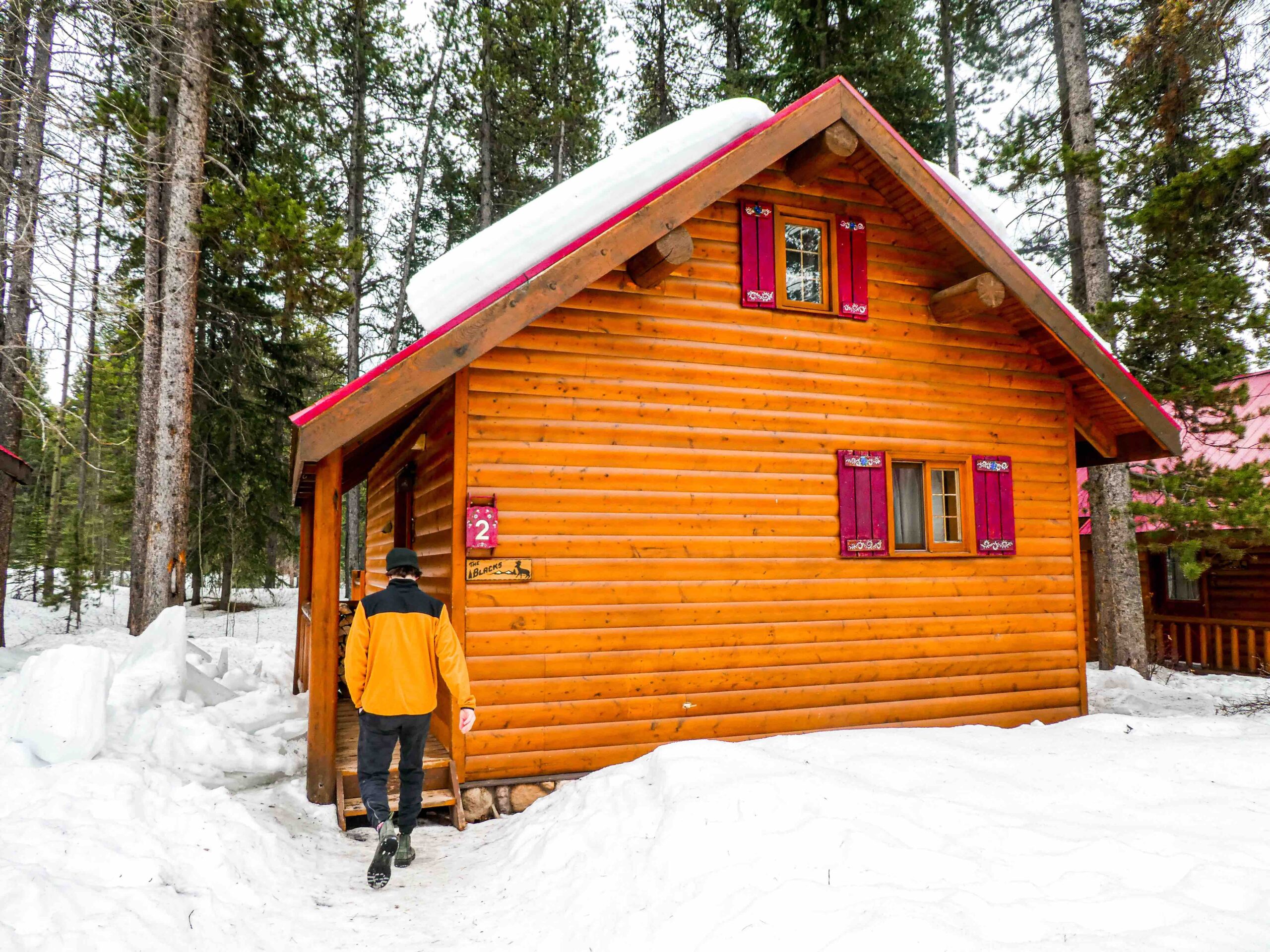 Loft Cabin with Ladder 