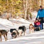Dog Sledding in Canmore