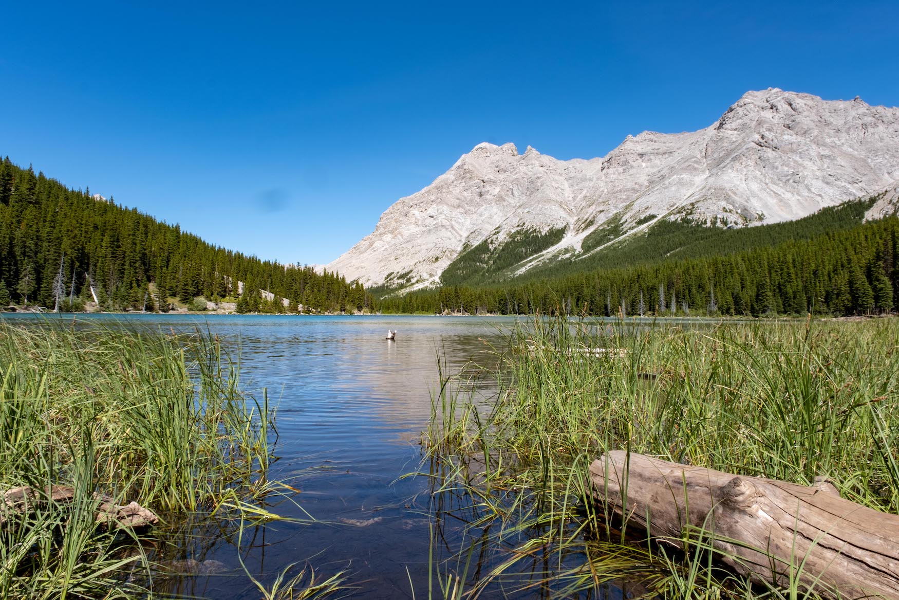 Elbow Lake in Kananaskis - easy