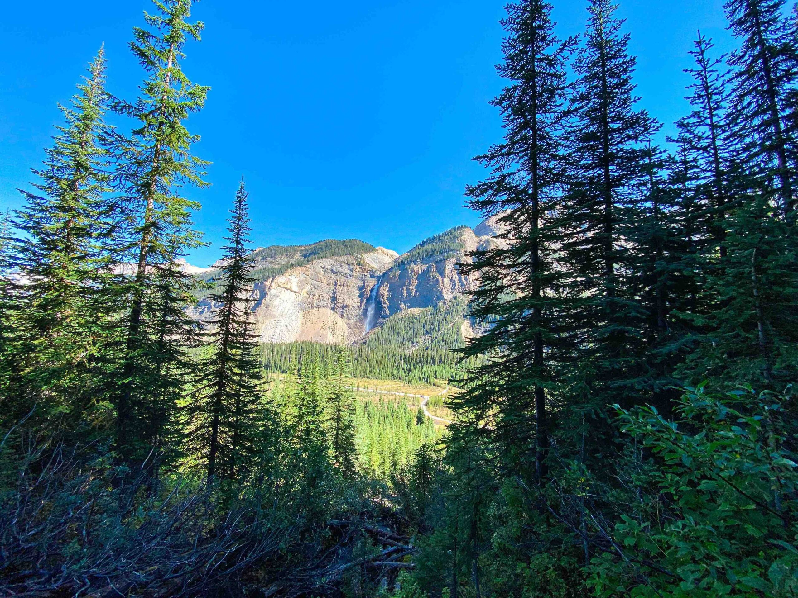 View from the switchbacks of the Takakkaw Falls