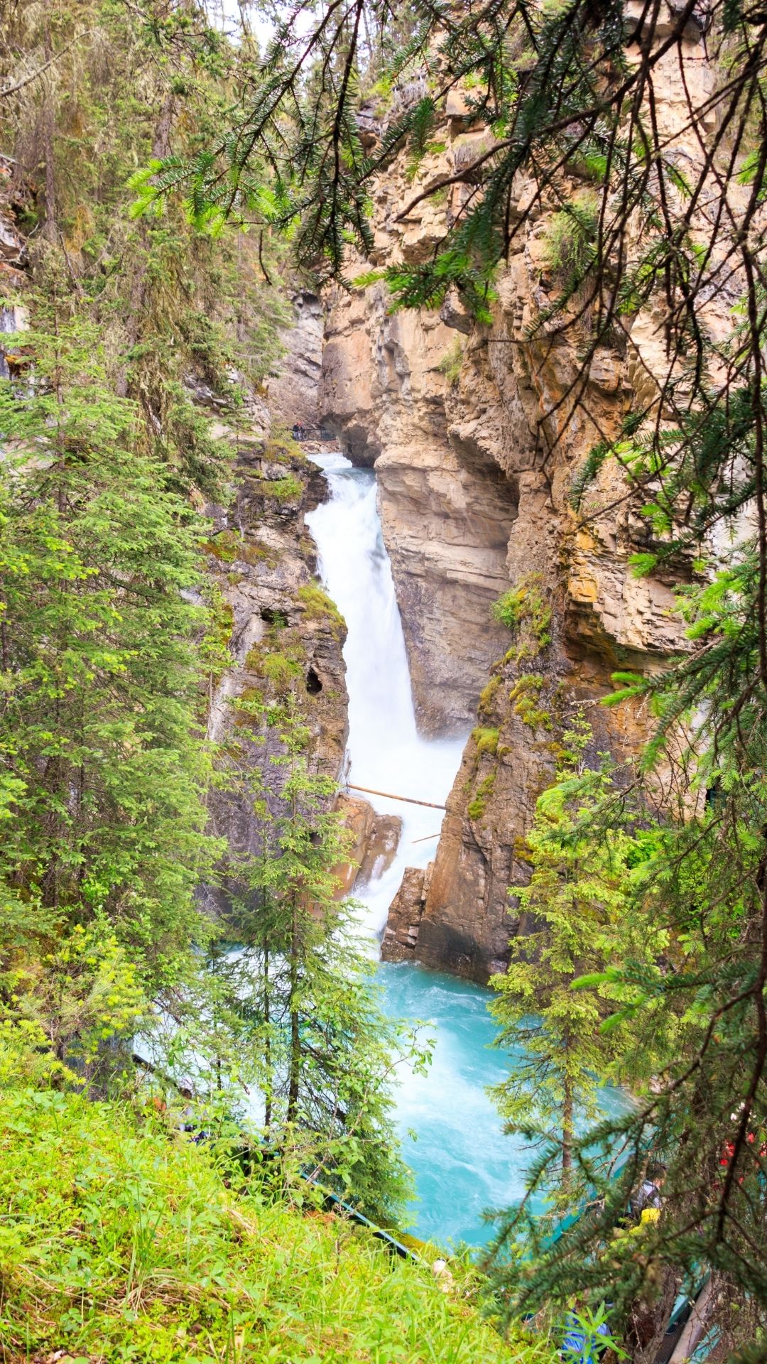 Johnston Canyon Lower Falls In The Summer