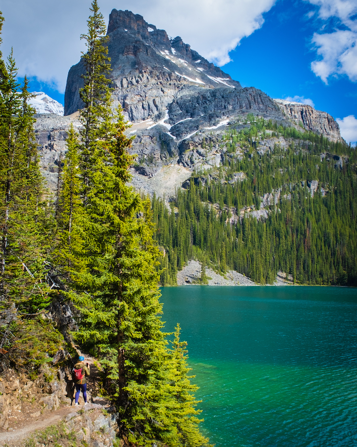 Lake O'Hara Shoreline Trail