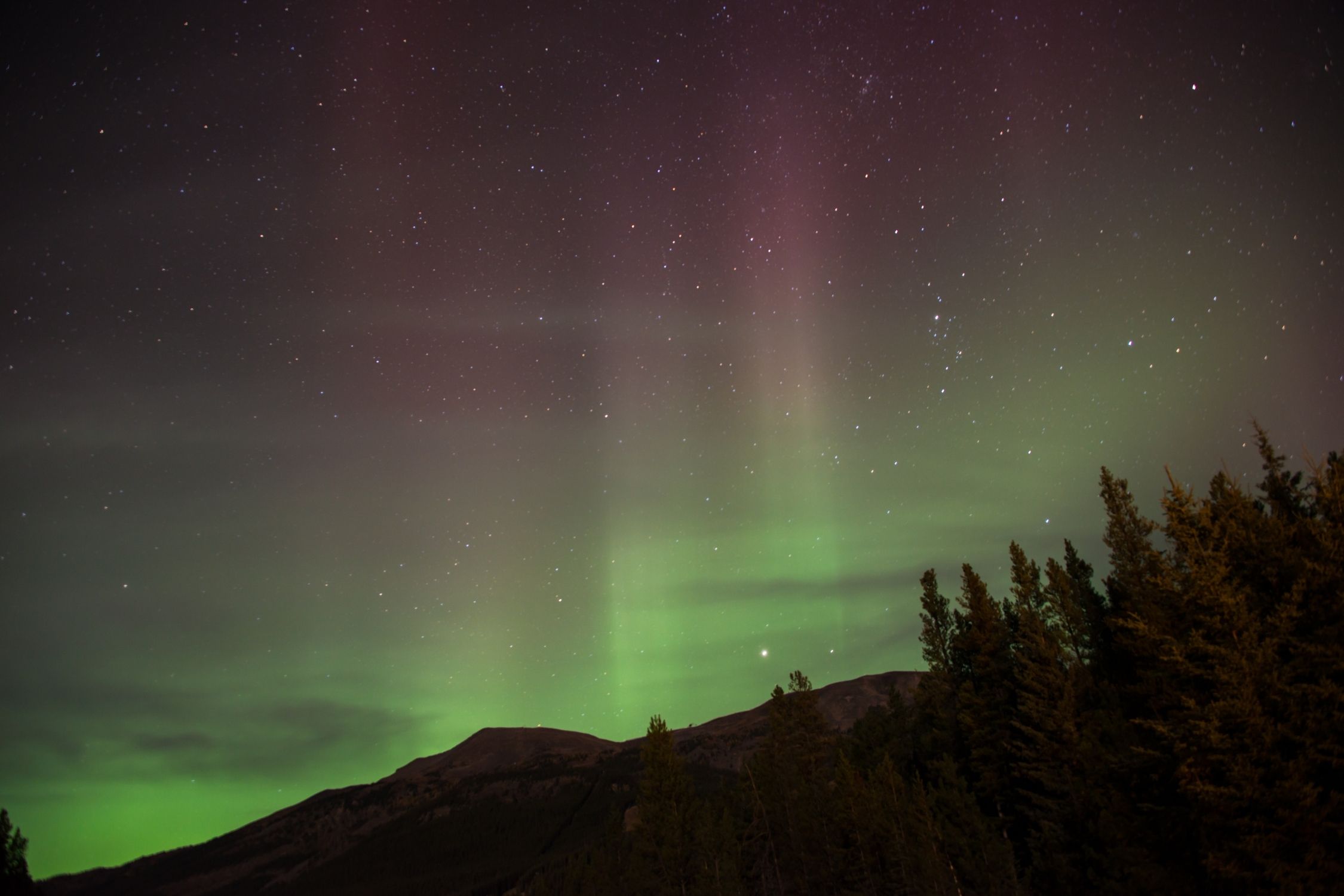 The Northern Lights Over Cascade Mountain in Banff