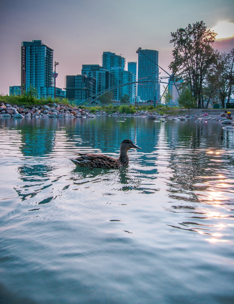 St Patrick's Island