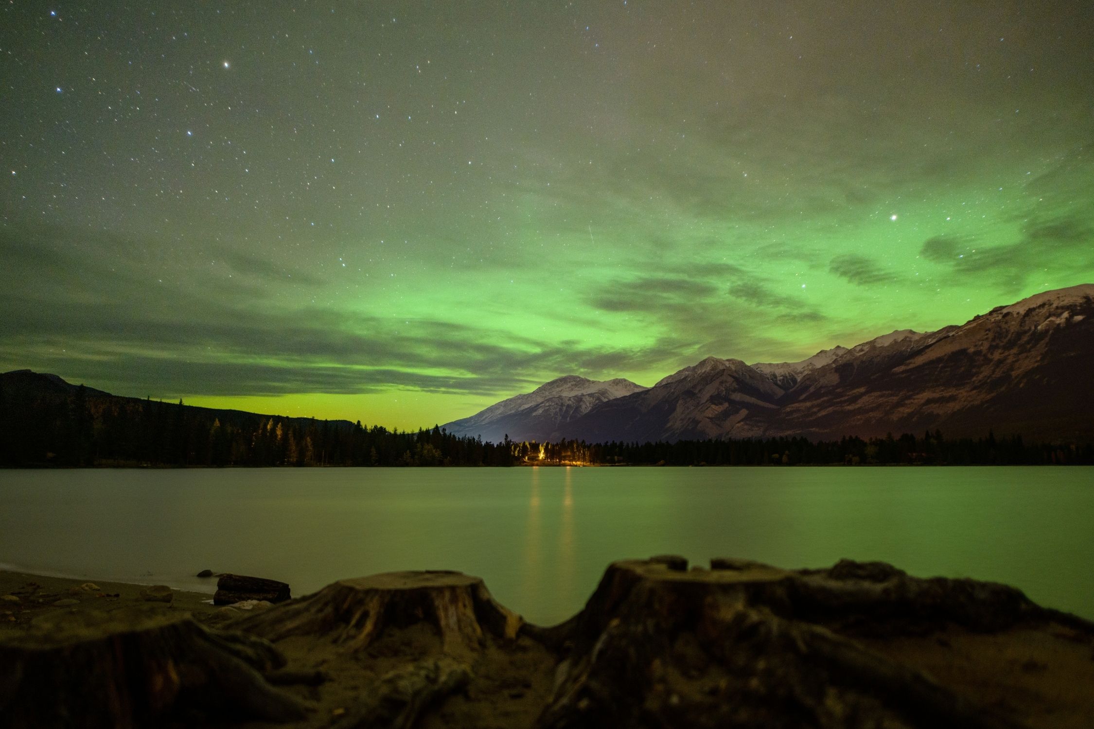 Stumps Along the Lake in Jasper with the Northern Lights over head