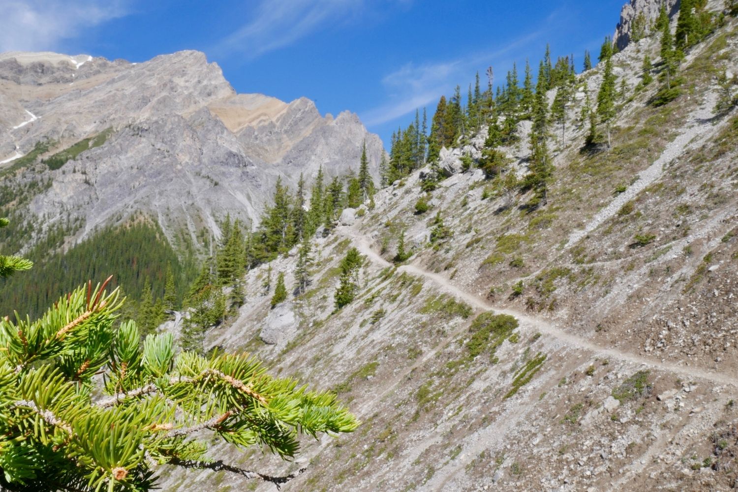 Cory Pass - Mt Edith Circuit