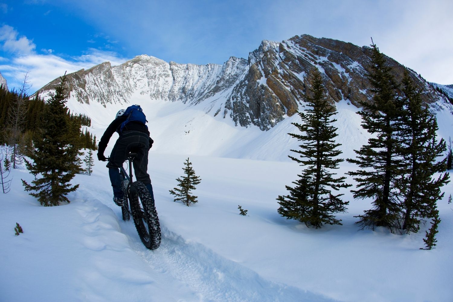 Go for a Fat Bike Ride