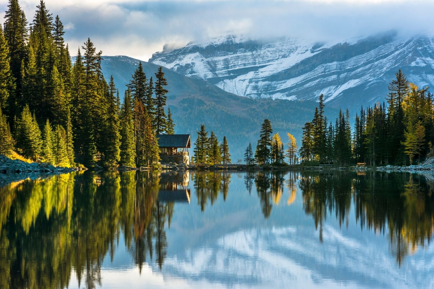 lake agnes tea house