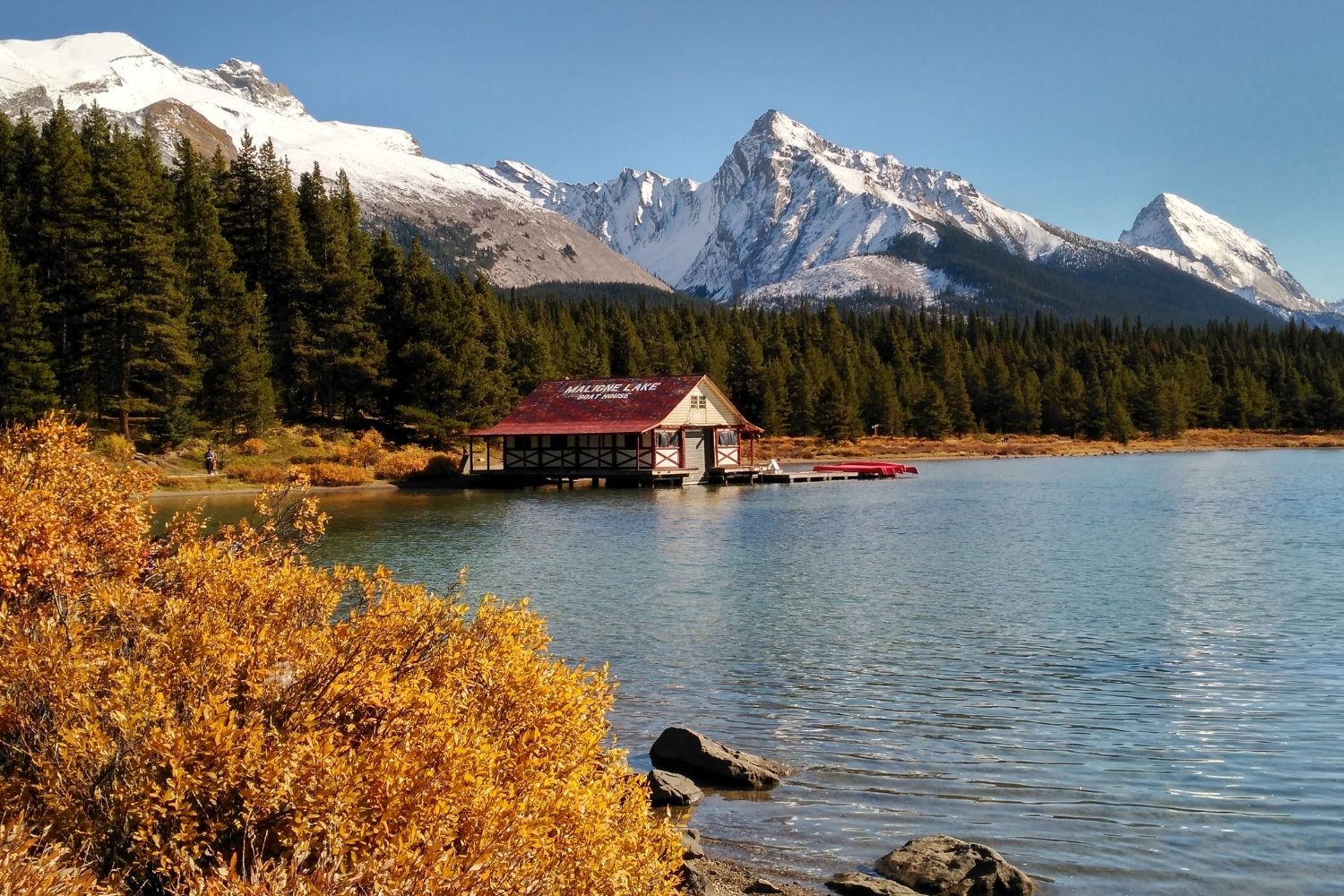 Maligne Lake Cruise