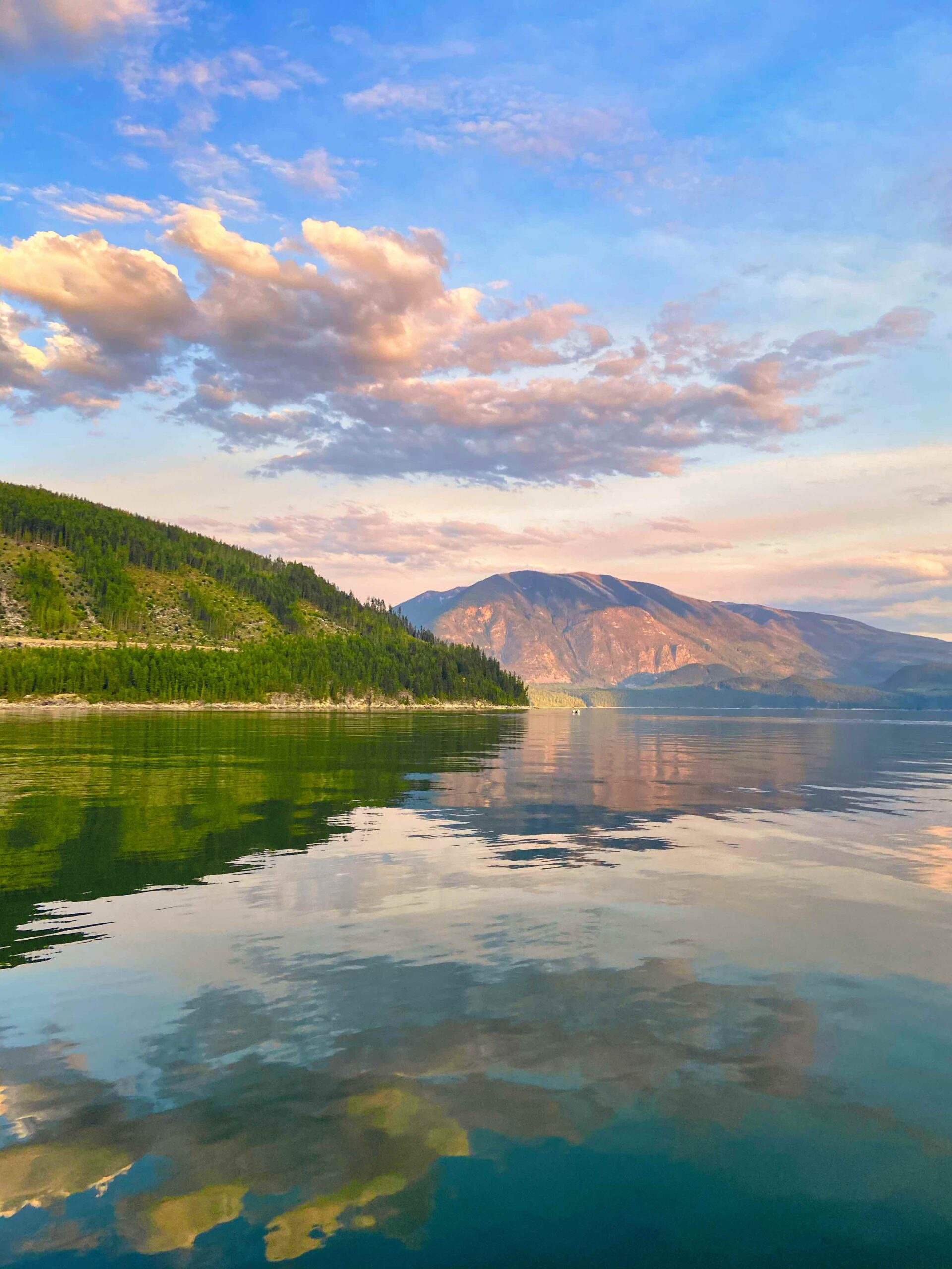 Lower Arrow Lake From A Boat