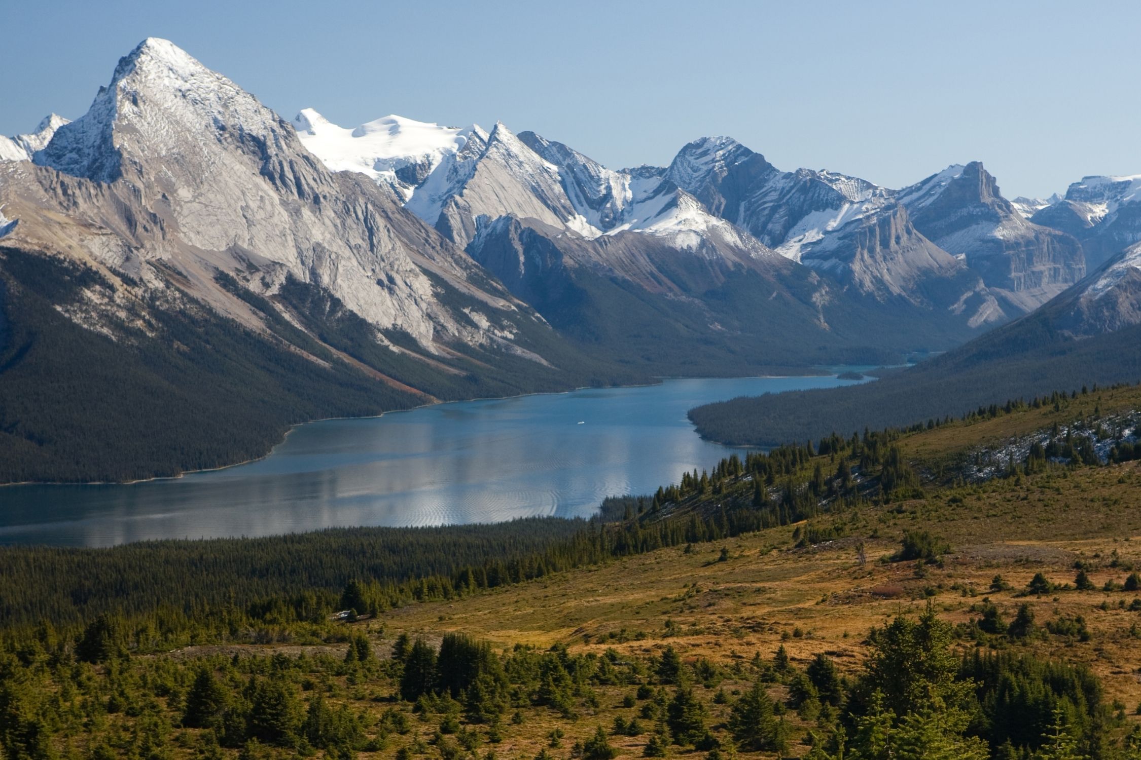 View From Bald Hills Hike in Jasper of Maligne Lake