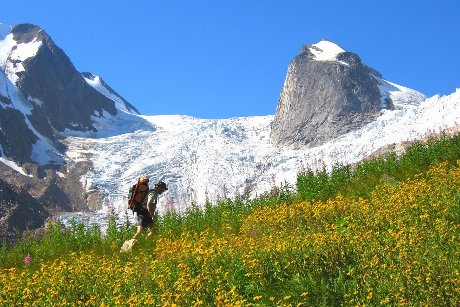 Bugaboos