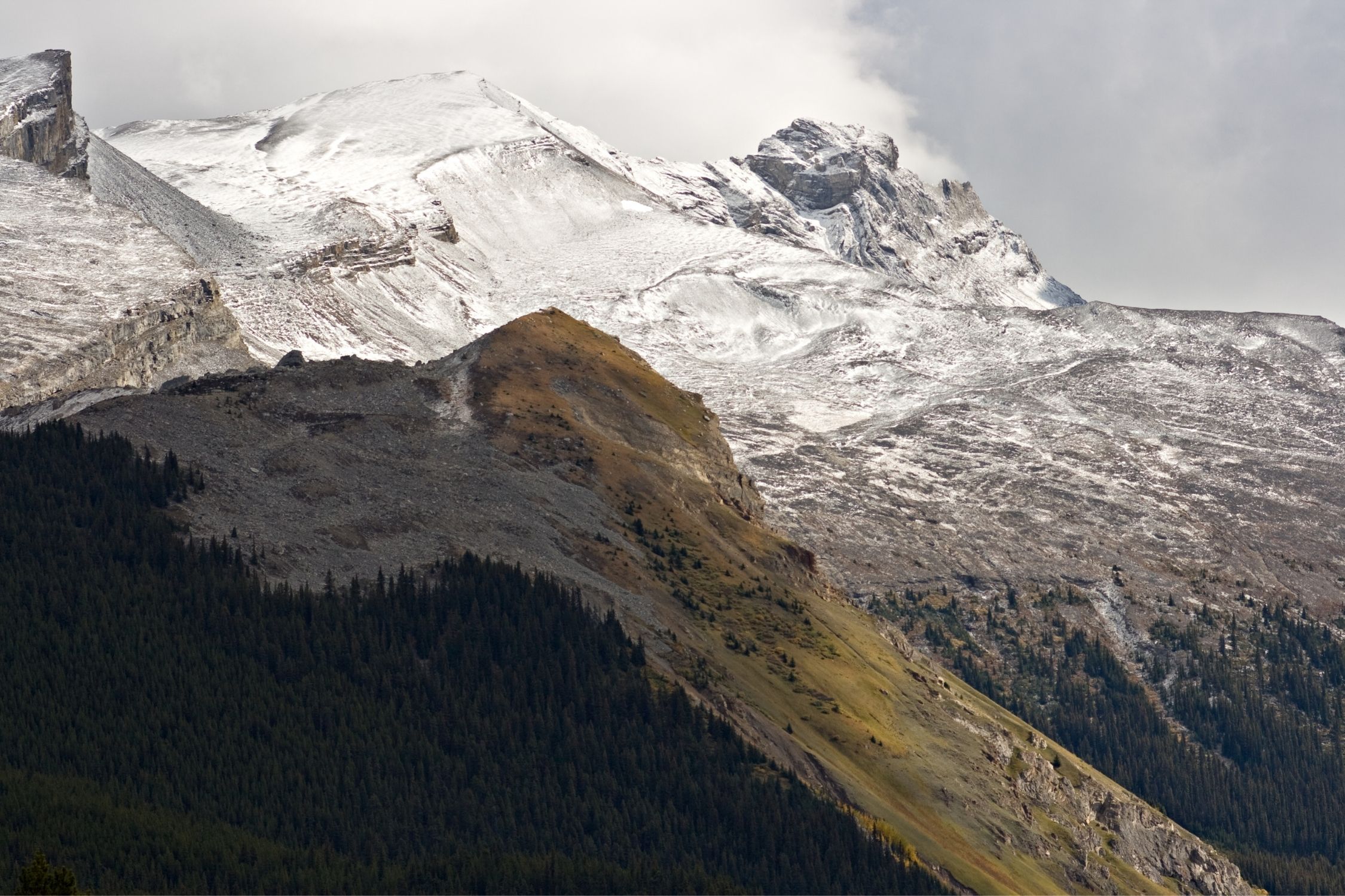 Opal Hills a hike in Jasper with fresh snowfall