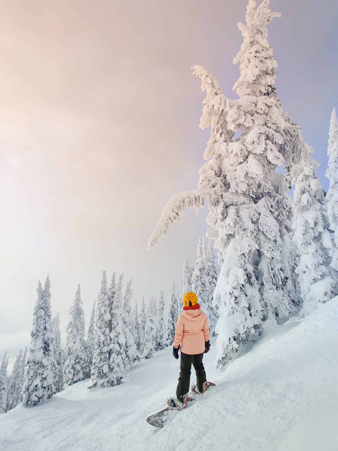 35 BEST Things To Do In Revelstoke, British Columbia (2024)