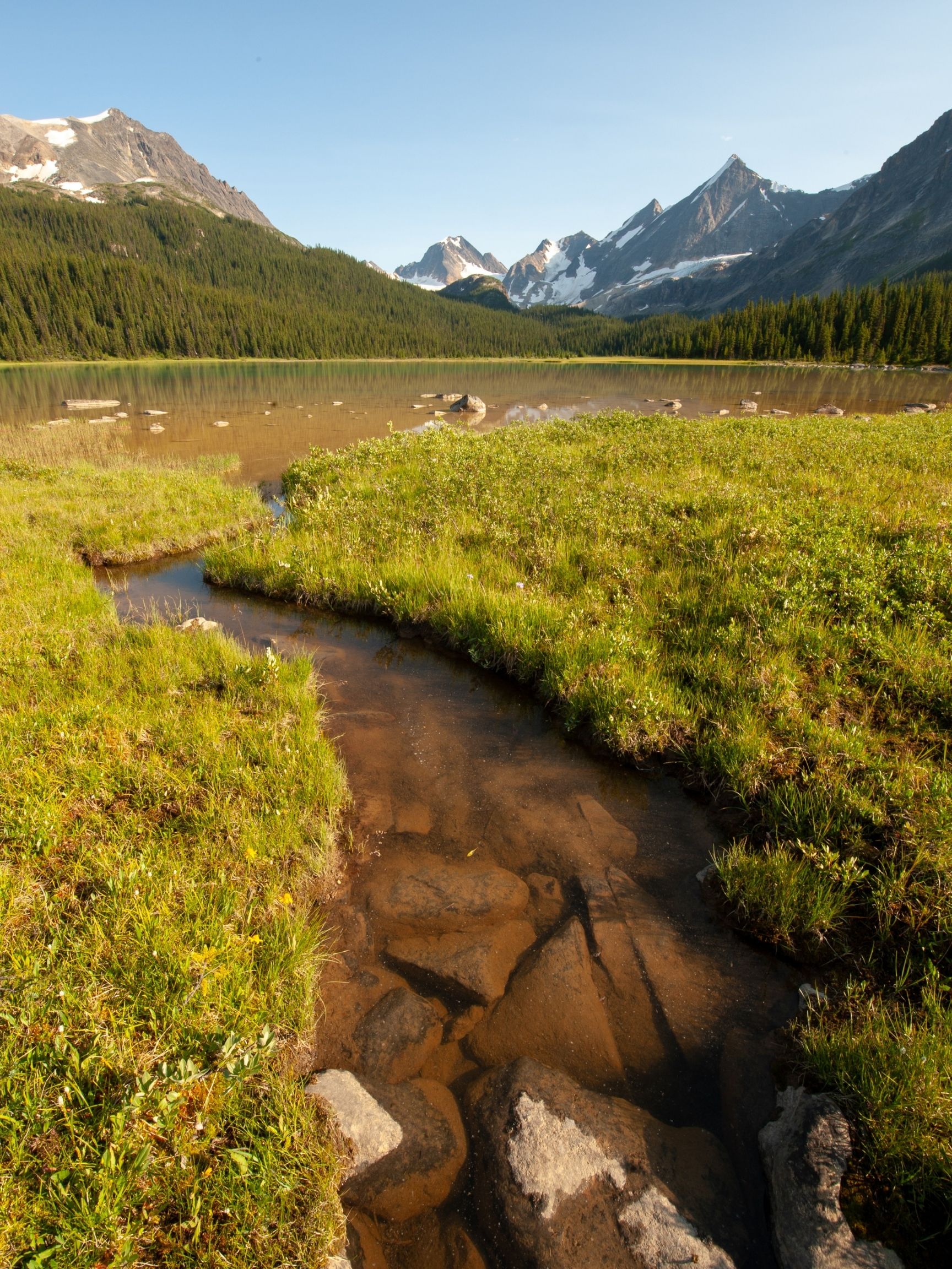 Tonquin Valley Stream Jasper Hikes