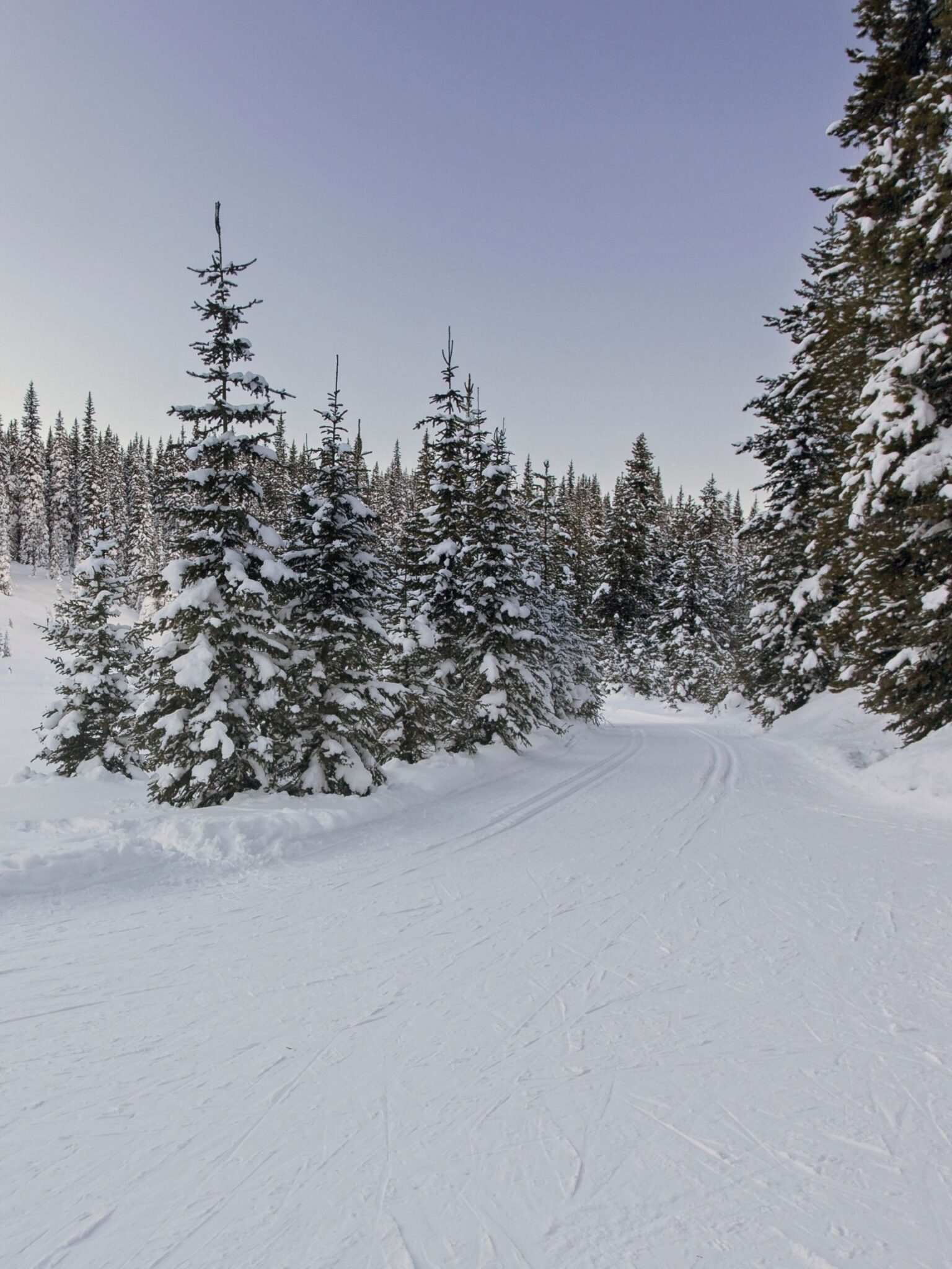 Banff Skiing Ultimate Guide To The Skibig3 Resorts