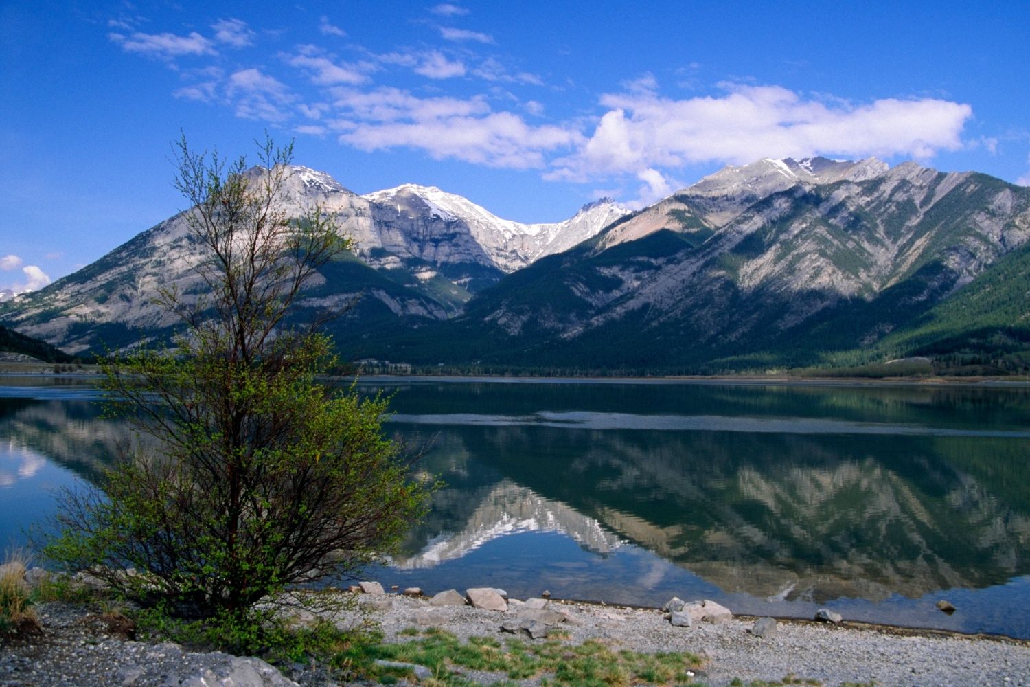 Lac Des Arcs