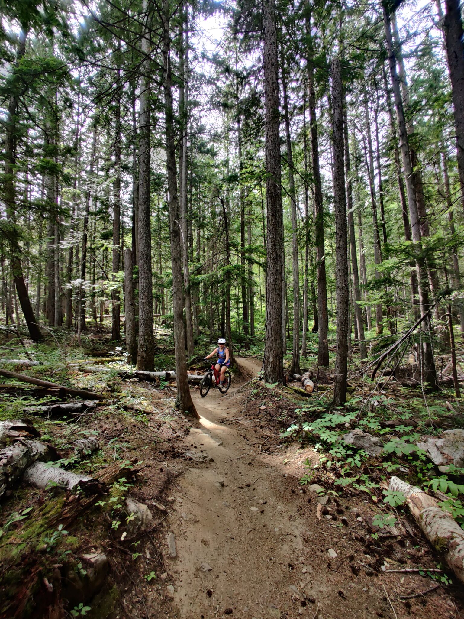 Mountain Biking In Revelstoke