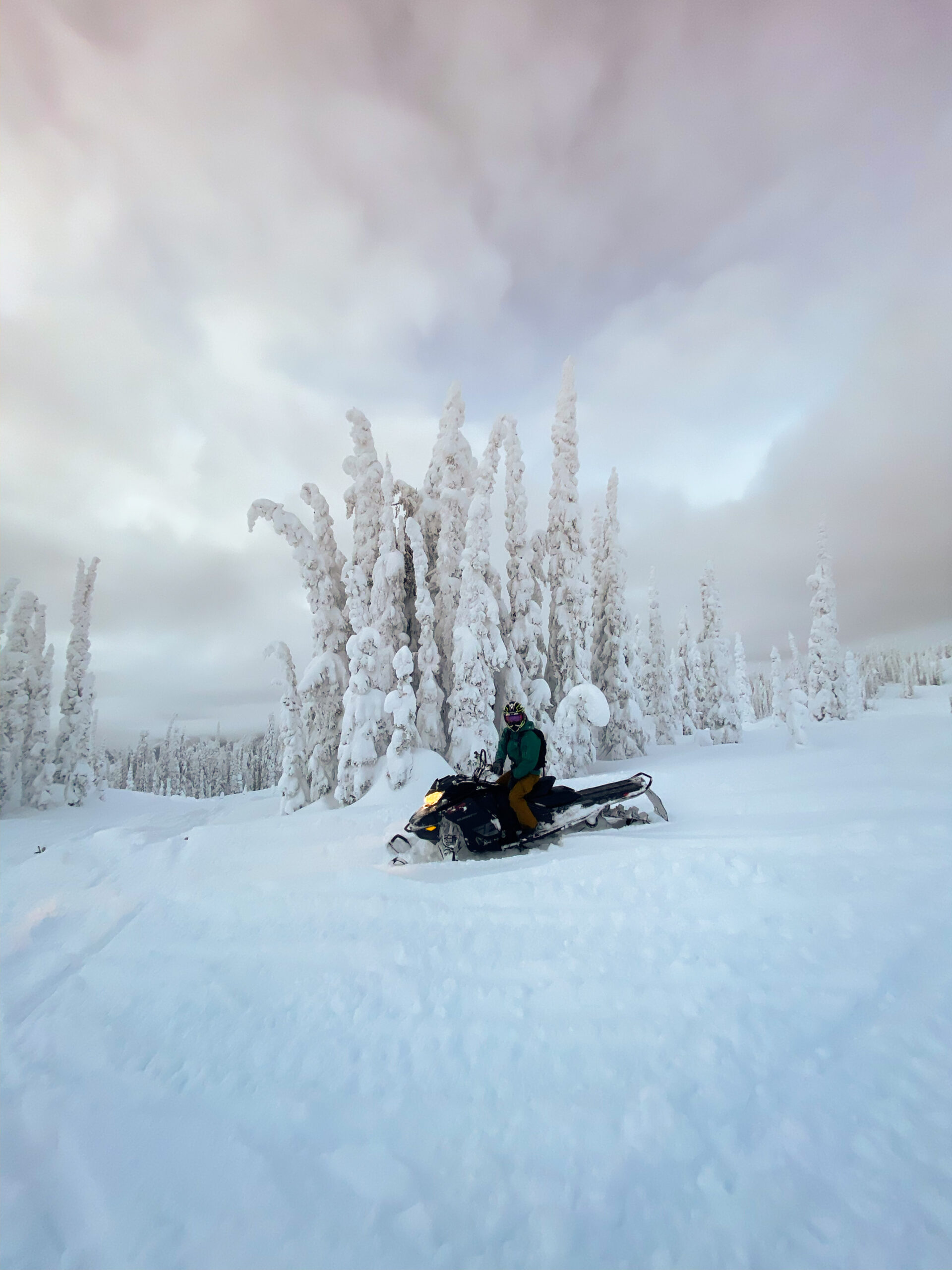 Cameron On A Sled in Revelstoke (Snowmobile)