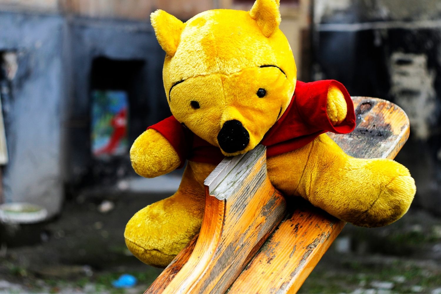  Winnie-the-Pooh was named after a bear from Canada.